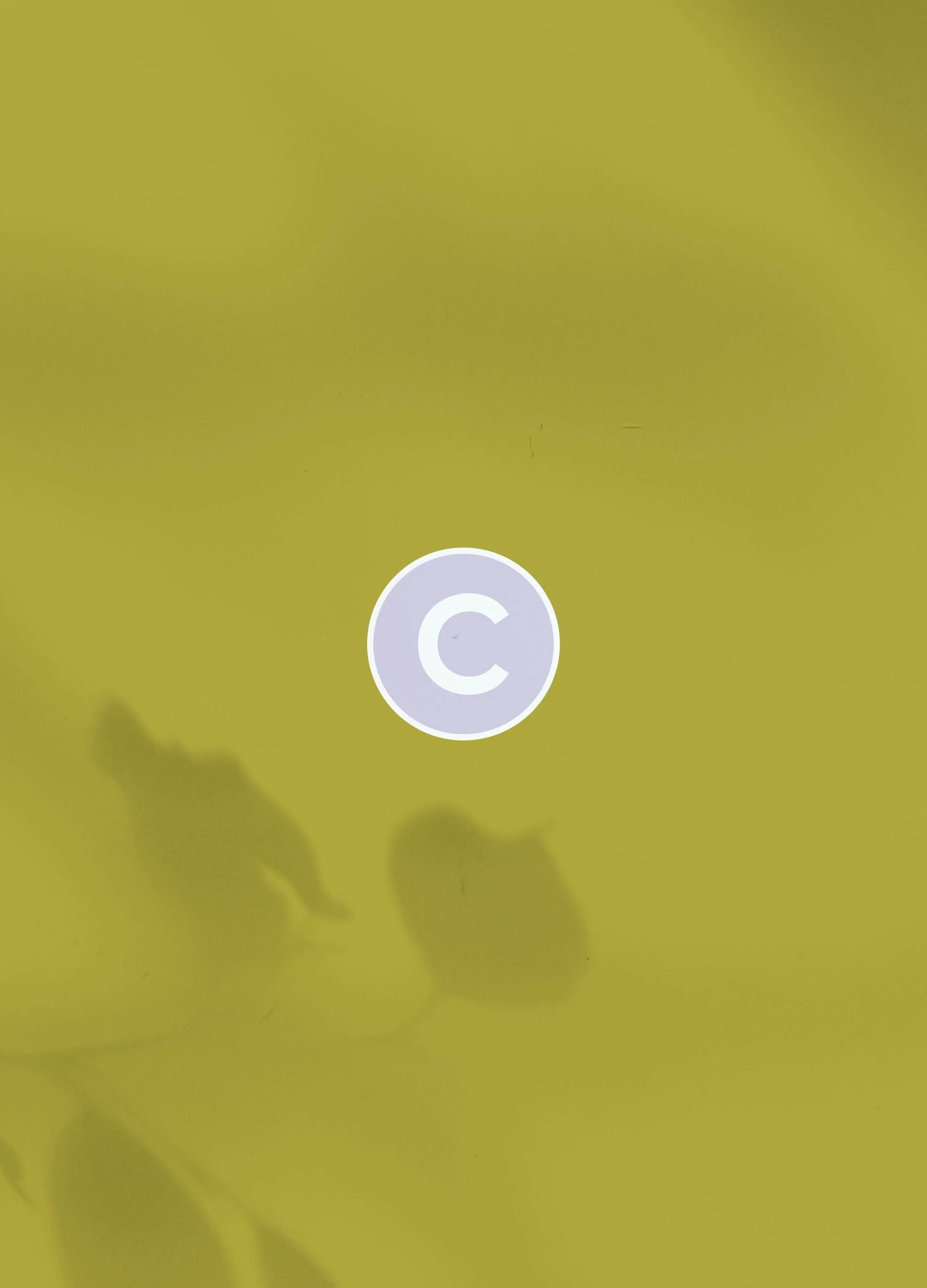 ContentCollective_Brand4.jpg