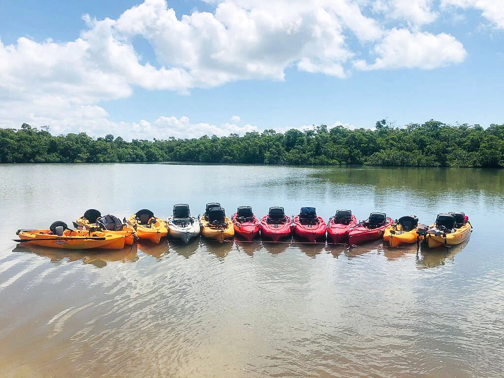 Marco Eco Tours Kayak Rentals & Tours