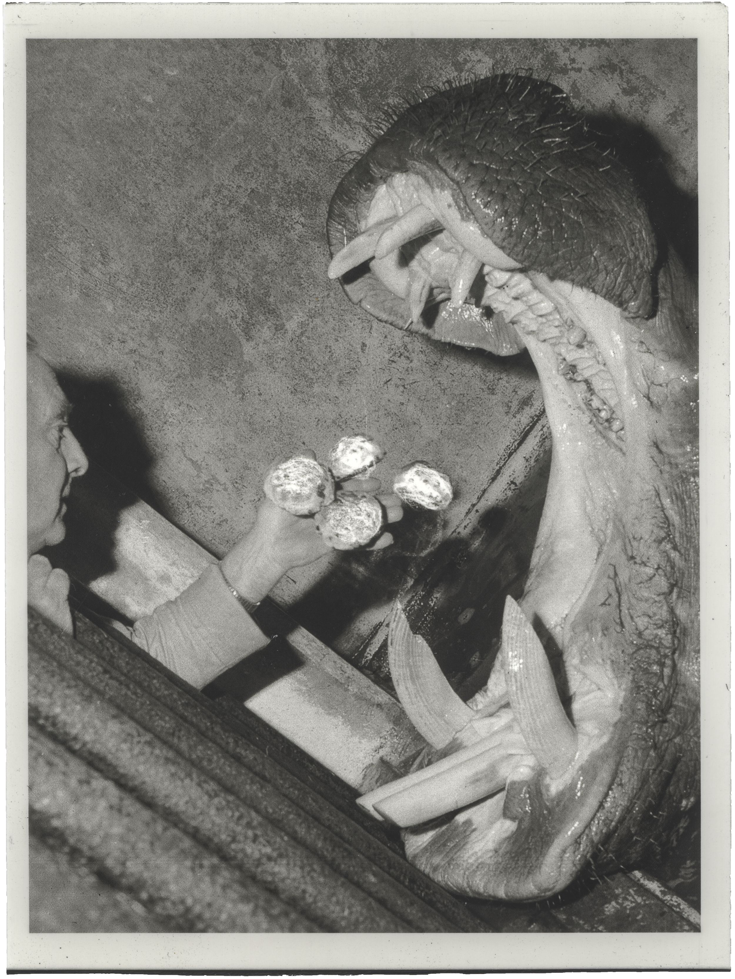 No.56, silver gelatin print