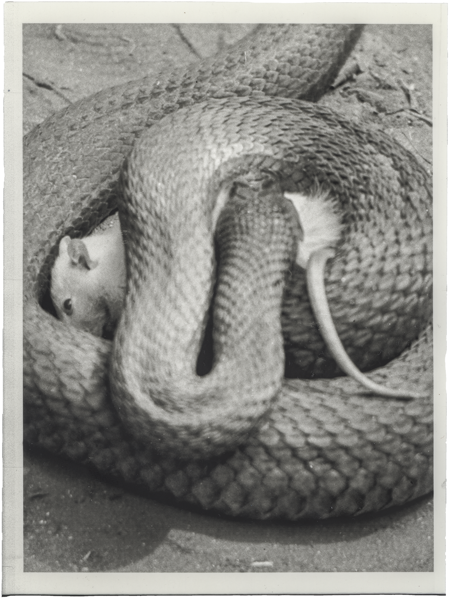 No.160, silver gelatin print