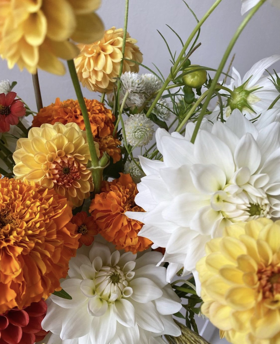 Dried Arrangement — Pansy Floral