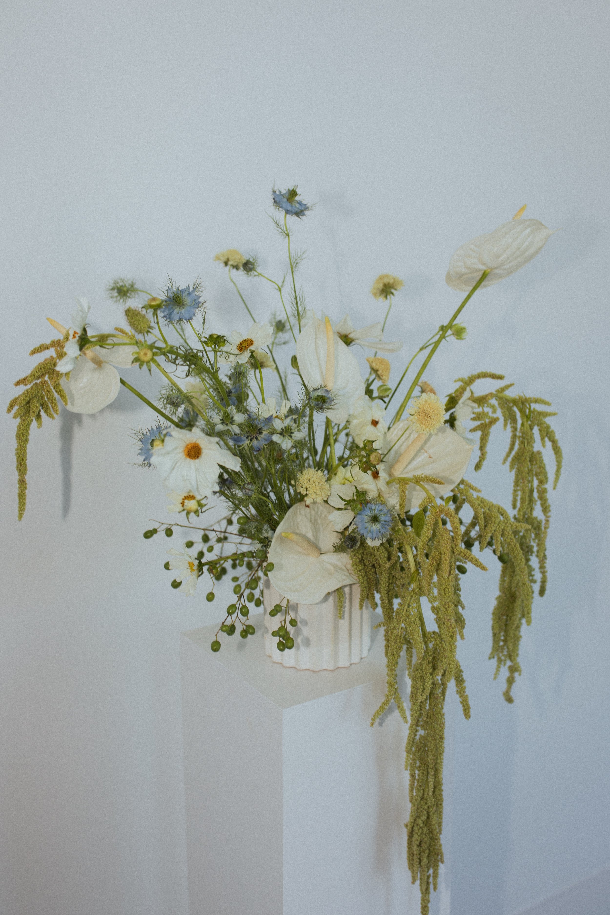 Softe Studio-152.jpg