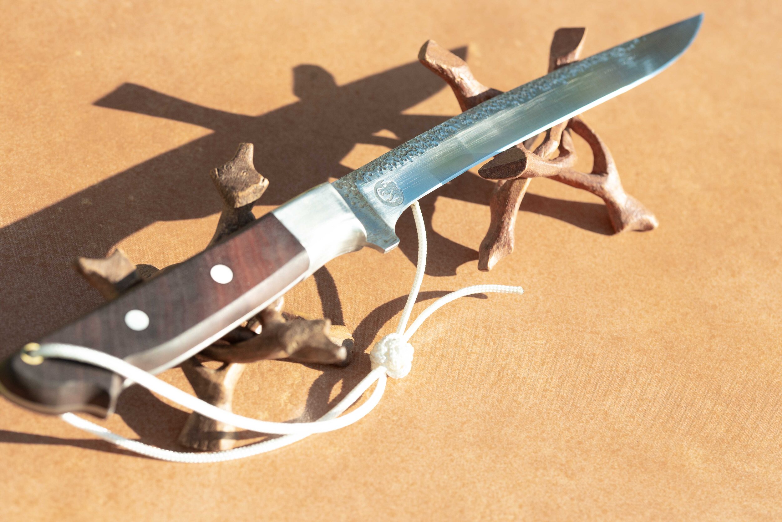 Fillet Ian(4 of 1).jpg