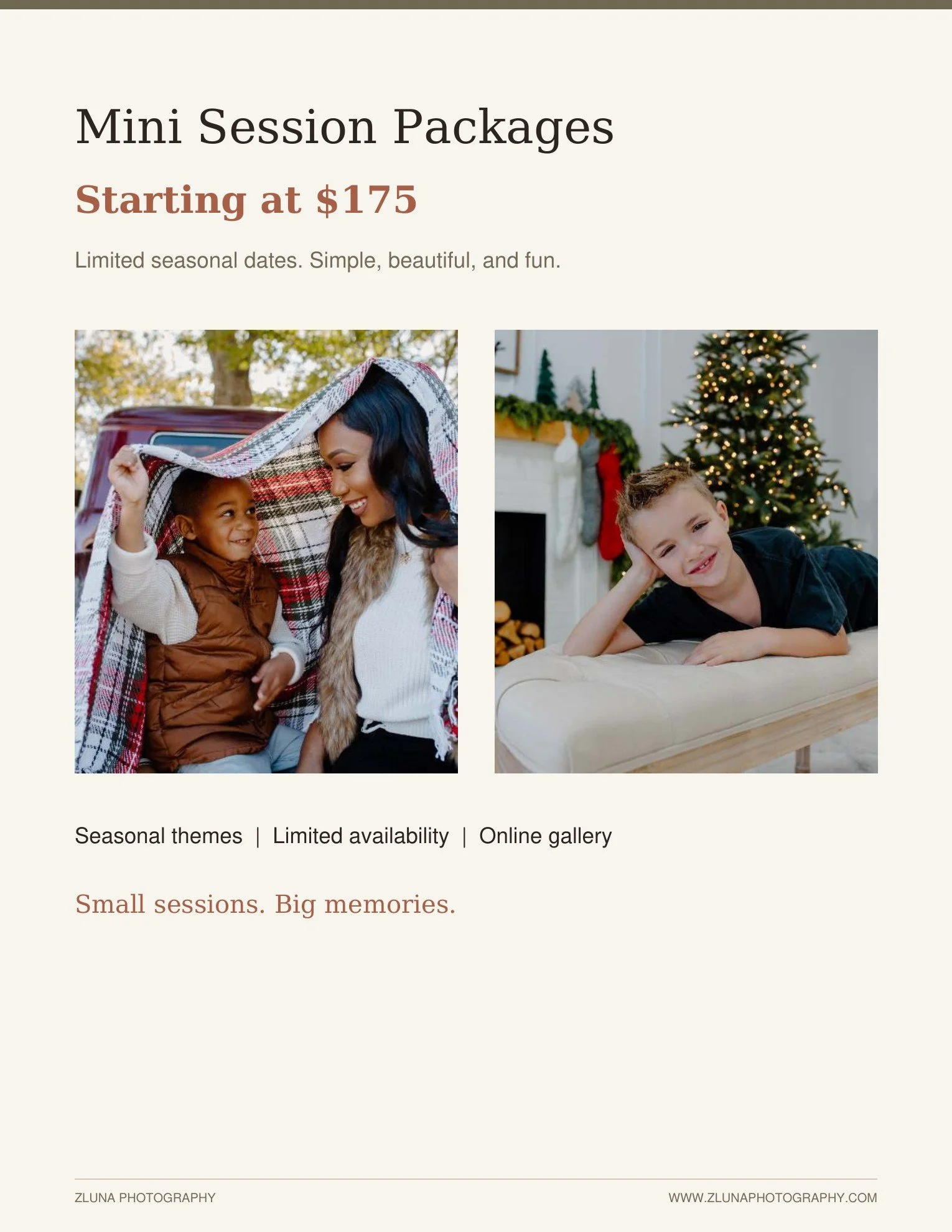 ZLuna_Pricing_09.jpg