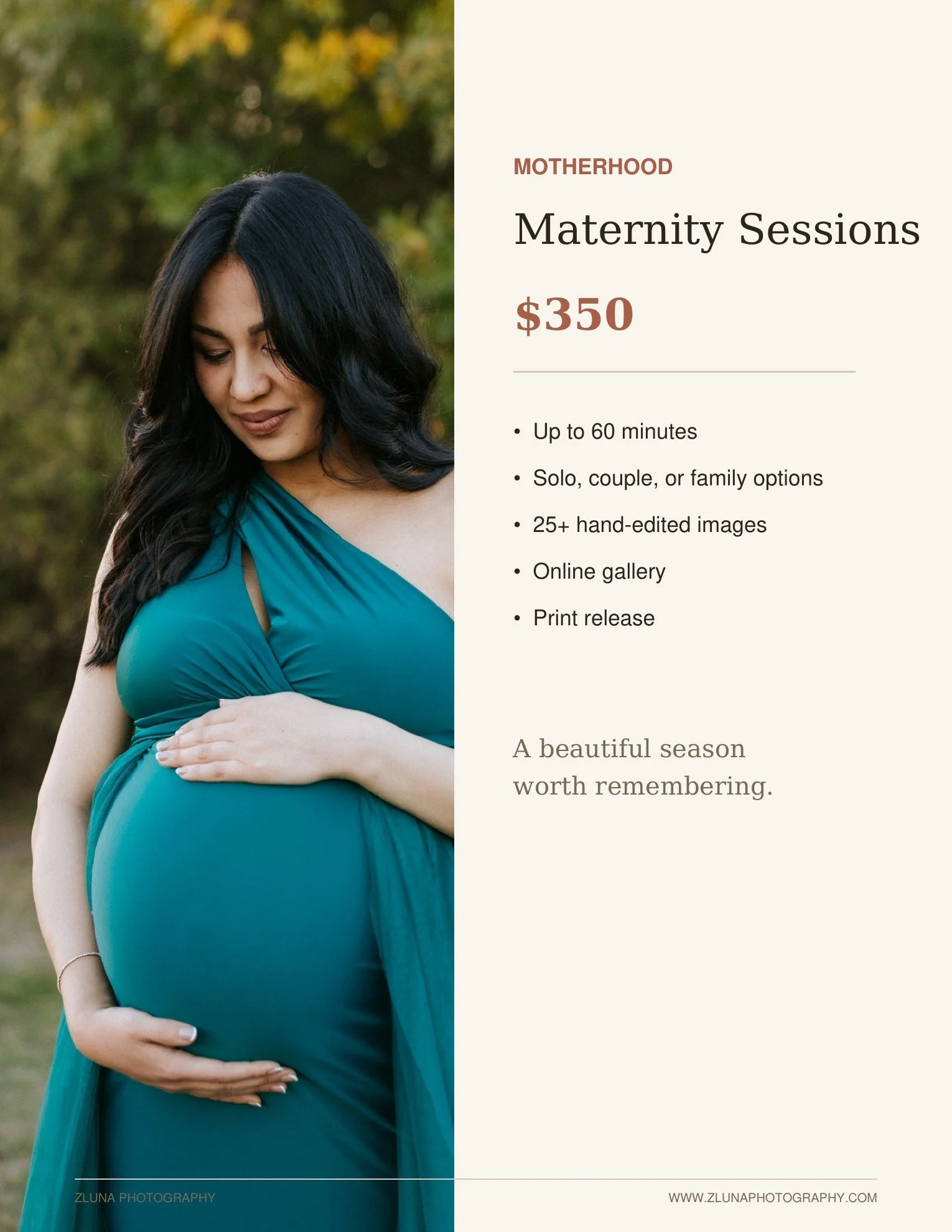 ZLuna_Pricing_08.jpg