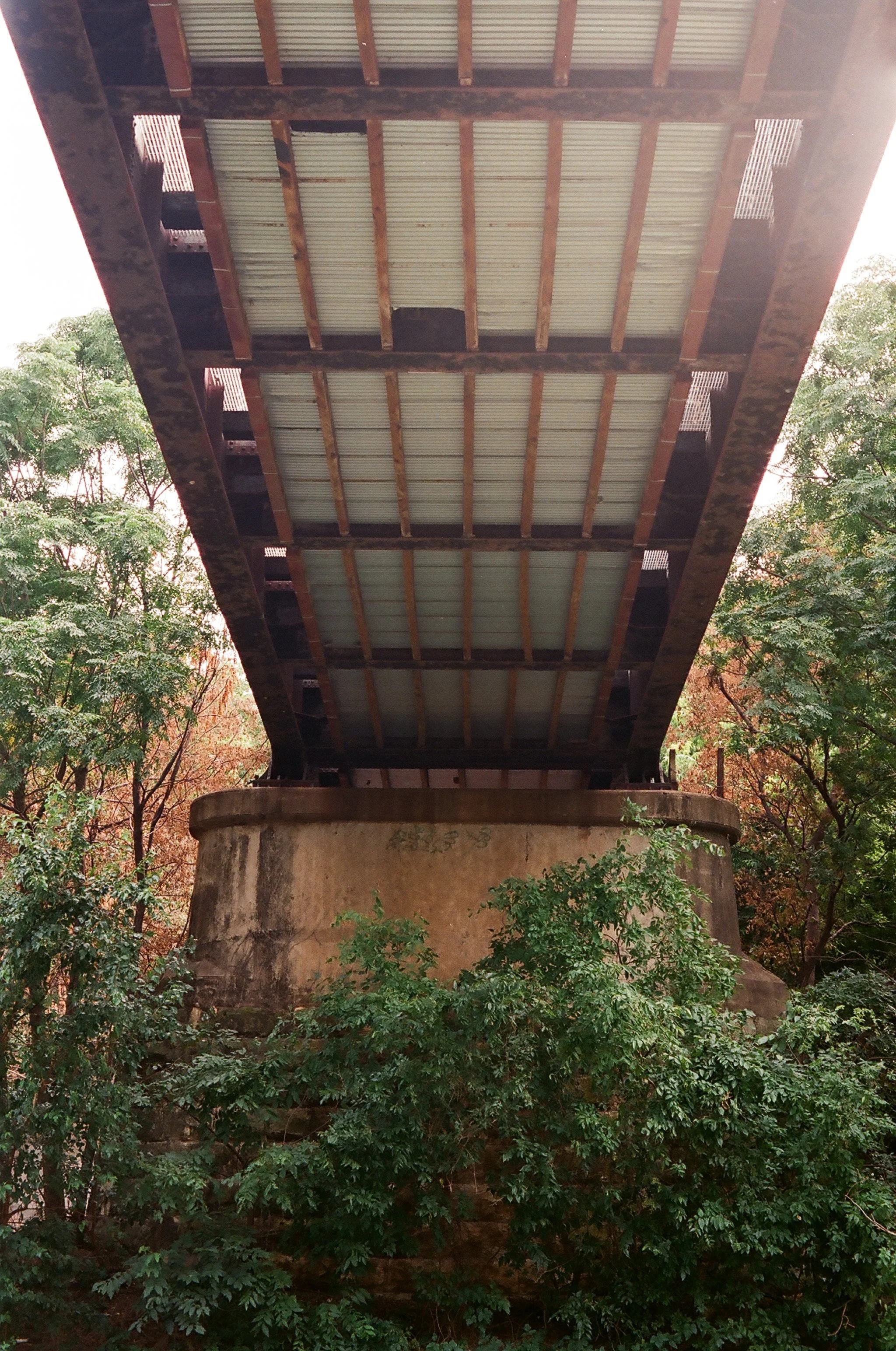 84260021.JPG