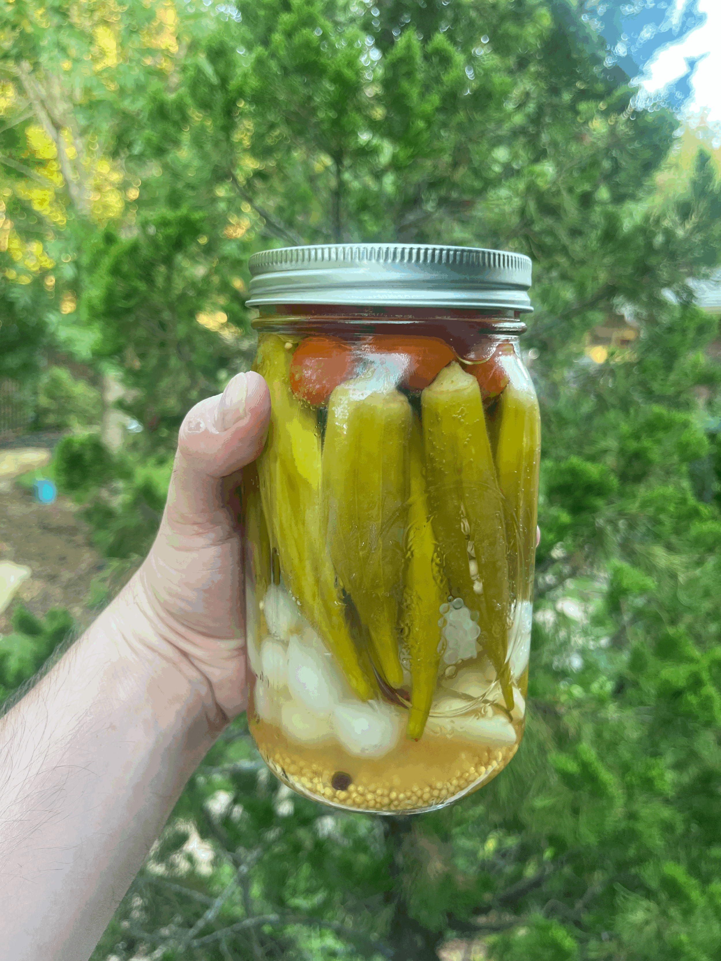 Pickled Okra