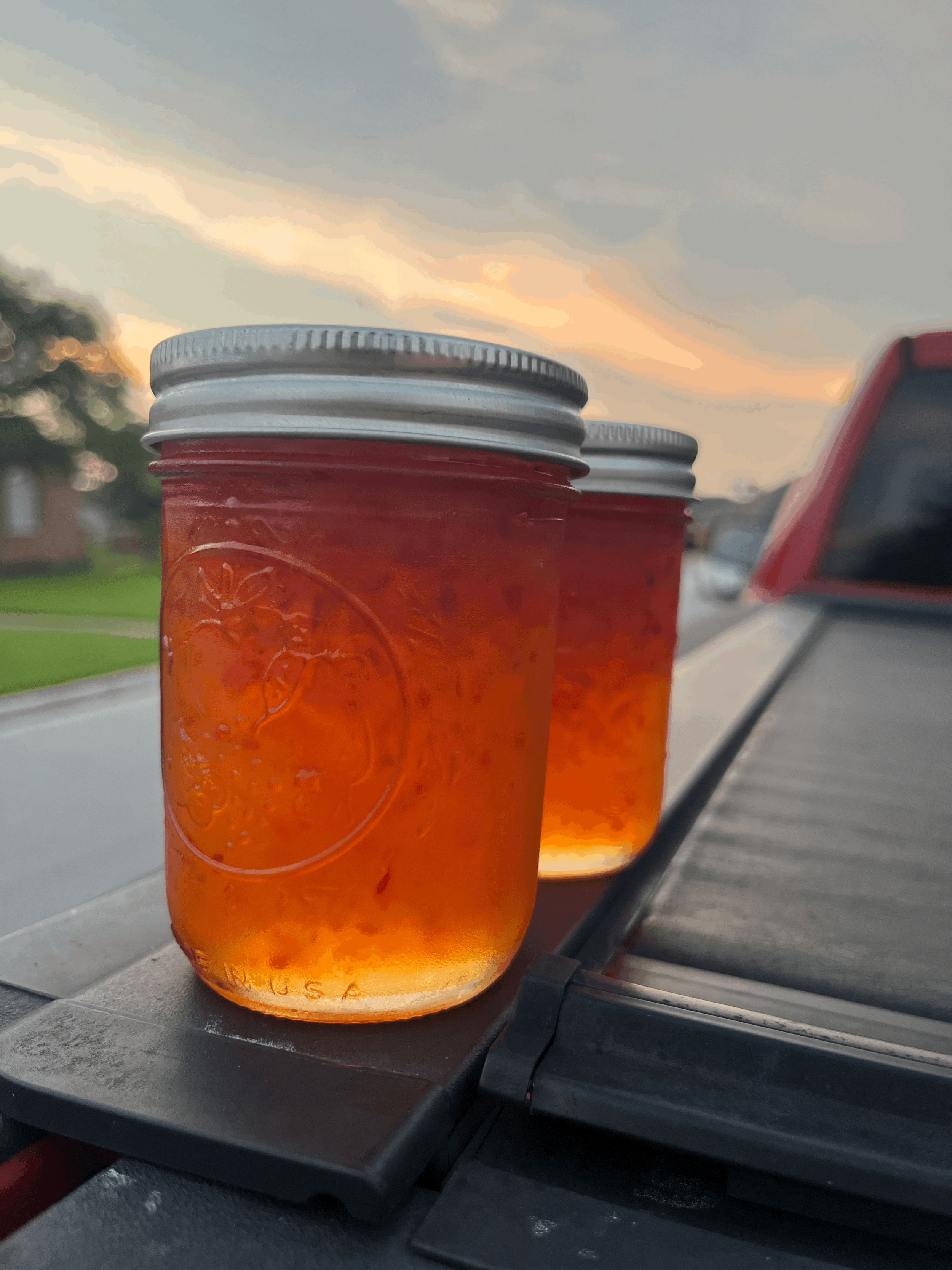 Habañero - Apricot Jelly