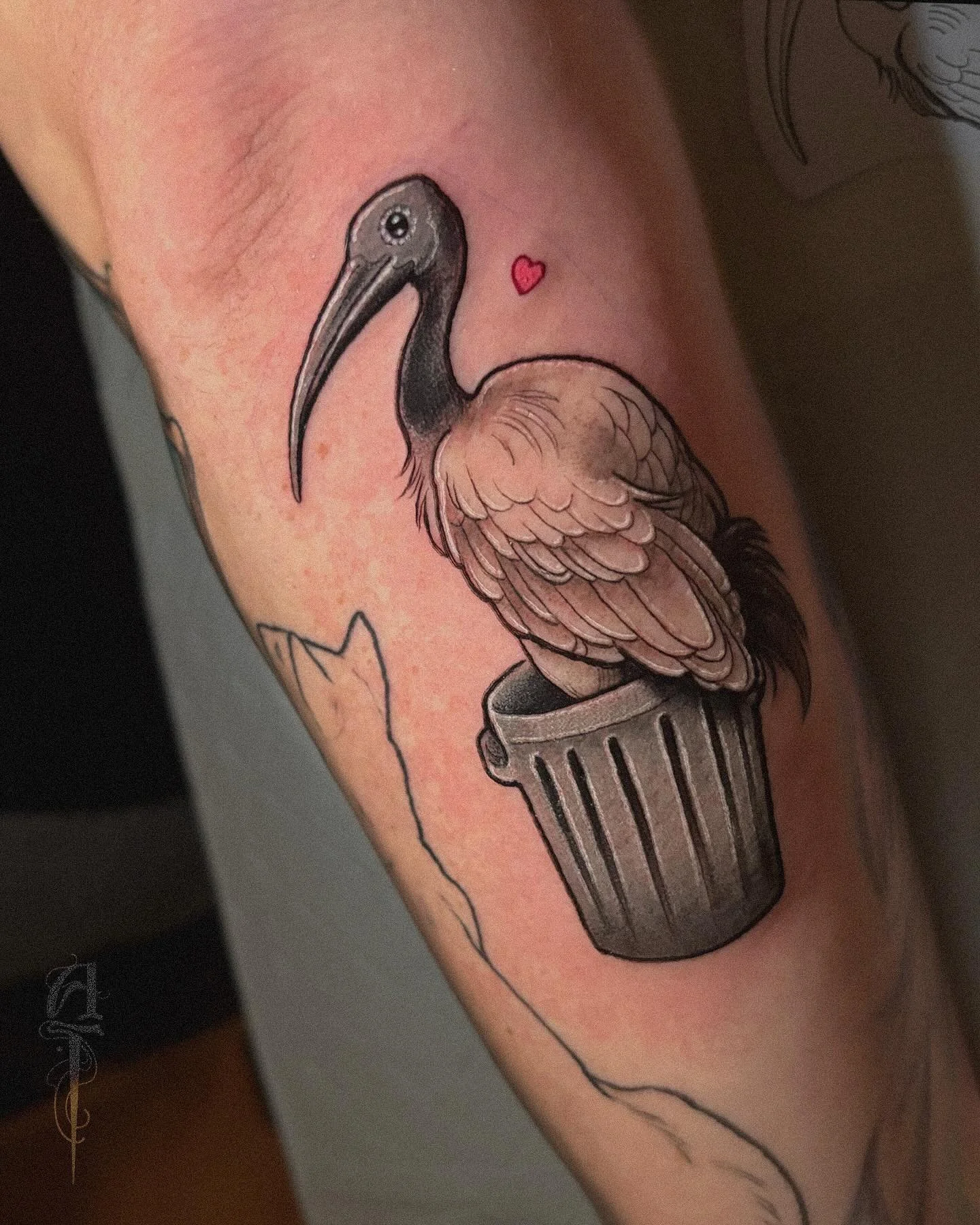 A tiny bin baby for Sophie ✨
From a while back. &hearts;️
📍 @thegildedgoblintattoo 
🖍️ @inkjecta @metrixtattoo @starbritecolors @biotat_ 
<
#tattoo #smalltattoo #cutetattoo #sillytattoo #binchicken #bin #ibis #binchickensofinstagram #artist #tat