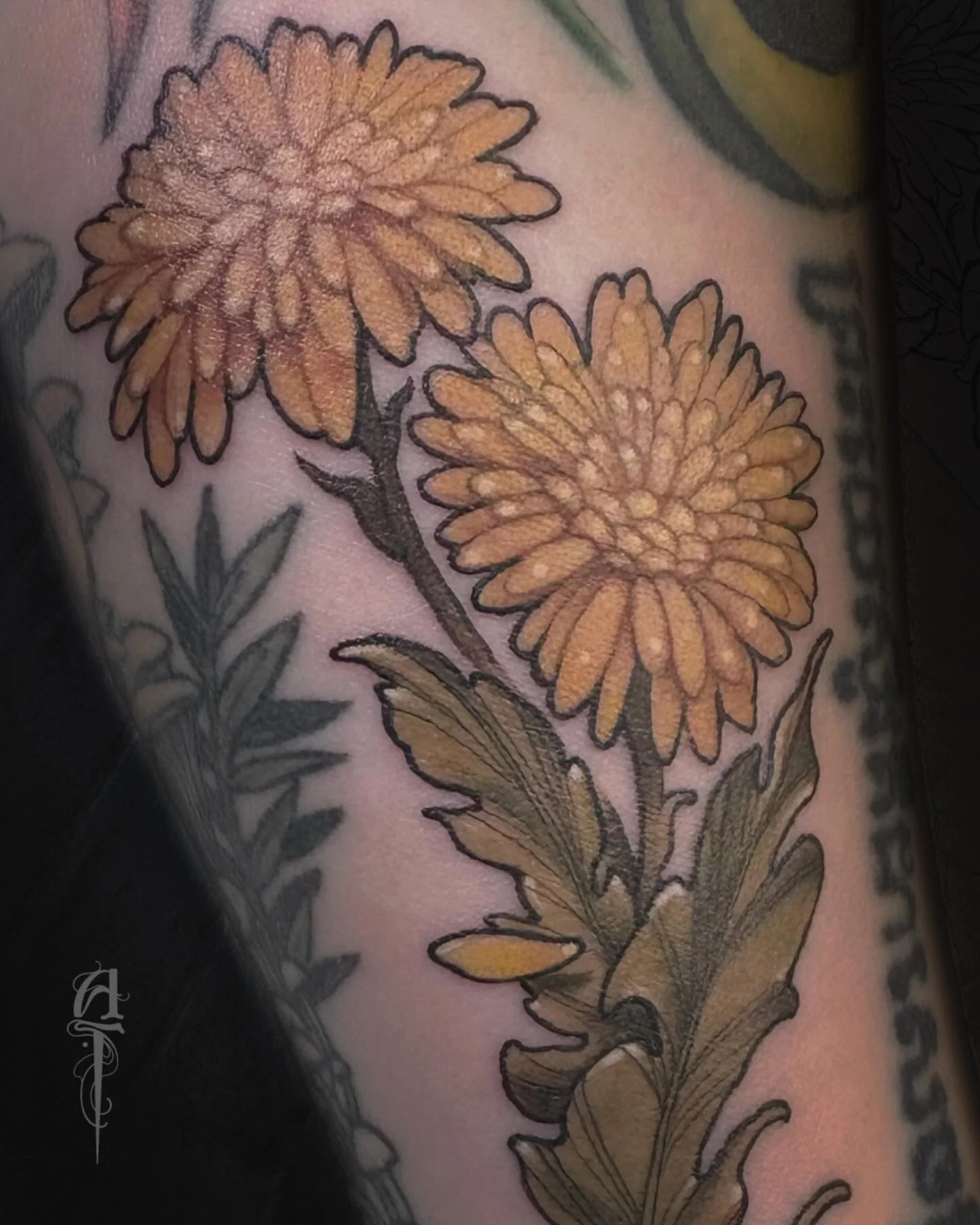 Dandelion [no polariser]
Thanks so much for making the trip Dani! &hearts;️
📍 @thegildedgoblintattoo 
🖍️ Made with @inkjecta @metrixtattoo @starbritecolors @worldfamousink @biotat_ 
&bull;
#tattoo #floral #floraltattoo #botanical #botanicaltattoo #