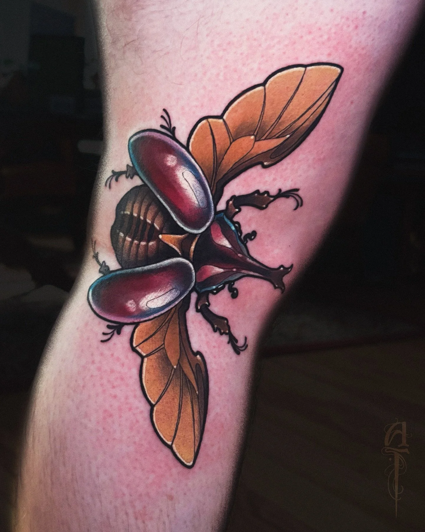 Japanese rhino beetle for Kieran from December. 🪲
More beetles please!! 🙏 
#tattoo #bug #bugtattoo #beetletattoo #tattooartist