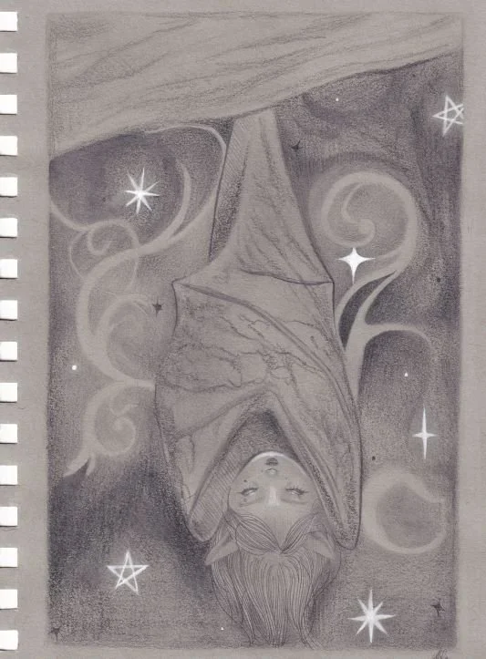 "Fly" 2024; graphite
