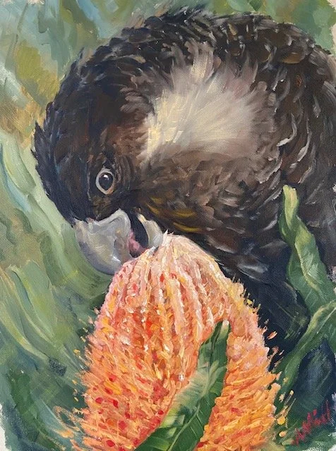 'Banksia Lunch', 310 x 410 mm, oil on canvas.  $450 framed.