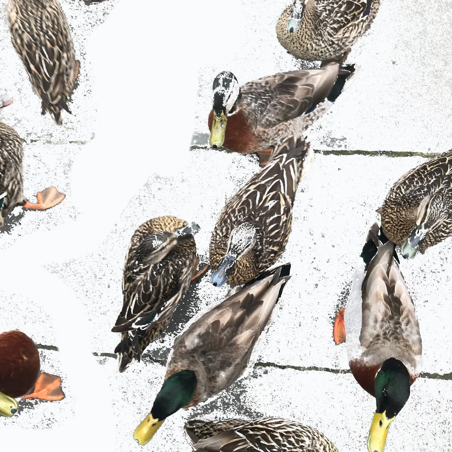 a new week
#graphicdesign #development #progession #vision #practice #creativeprocess #design #colourfulart #artandcolour #coloursandlife #naturesway #balance #goodness #growth #digitalart #digitalartist #work #momentum #motivation #creativity #duned