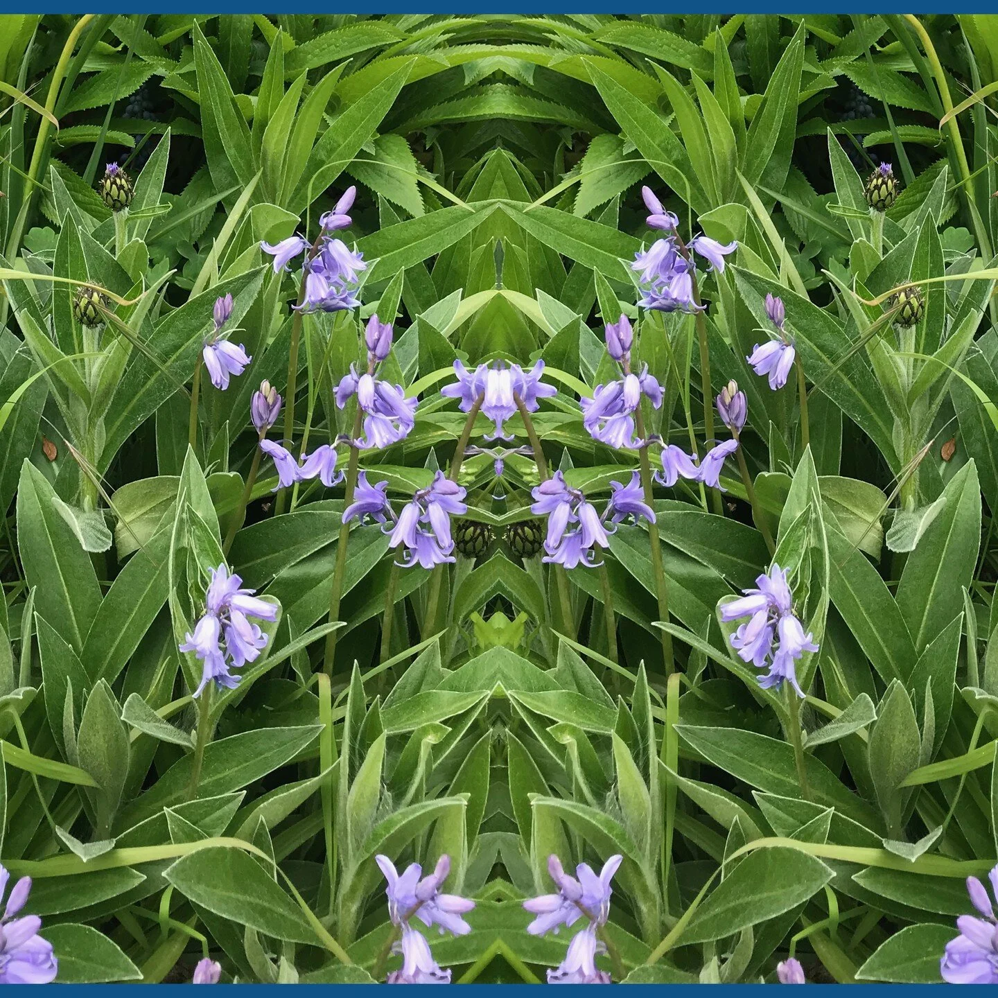 in balance 
#design #life #creativeprocess #balance #livelovegrow #artisticdays #artisticways #natureforthewin #thegoddessreigns #printdesign #creativephotography #creativegrowth #rhythm #cycles #goodness #dunedinnz #aotearoa #nz #digitalartist #digi