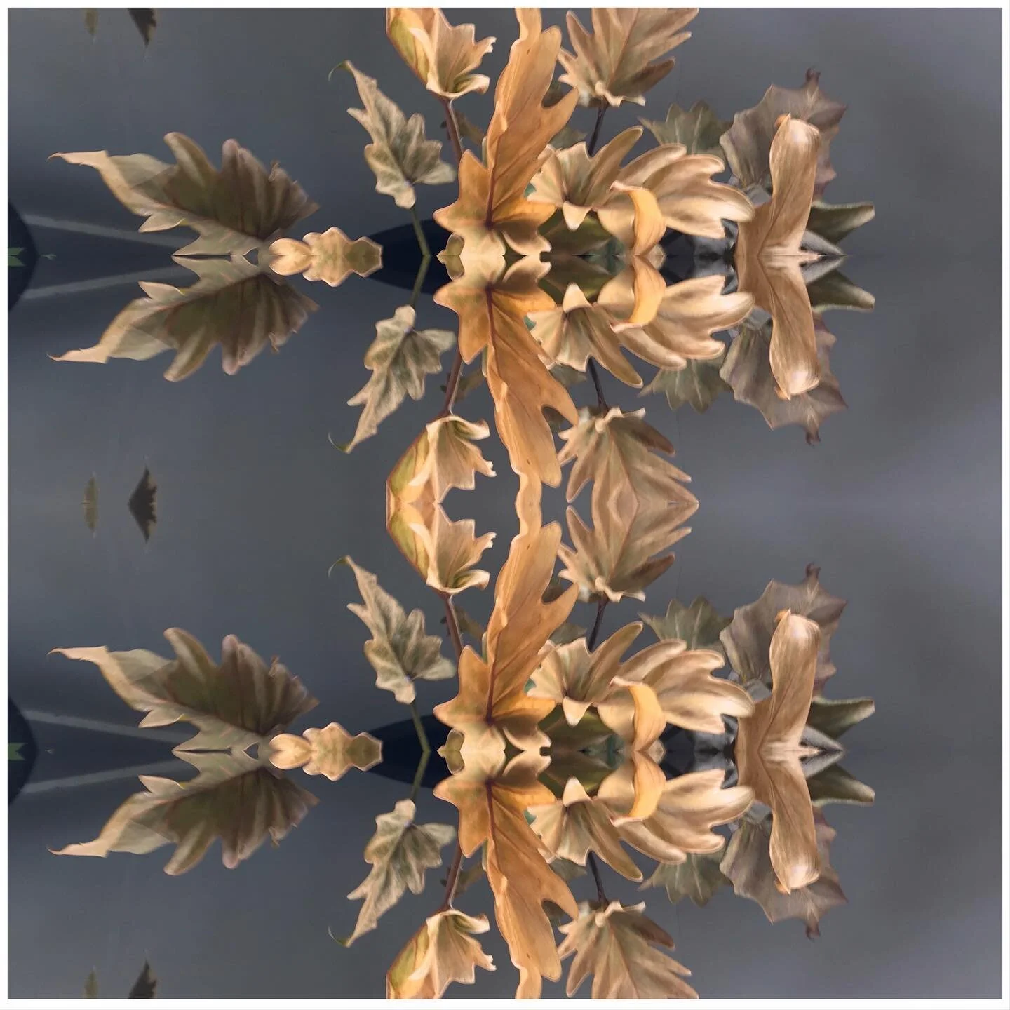 Photoshop express, testing testing 123, workflow, experiment and experience 🤩. #creativecontent #creativedevelopment #lifeandart #artisticprocess #processes #workflow #onlinemedia #onlinemediums #creativeways #expression #branding #seekandyouwillfin