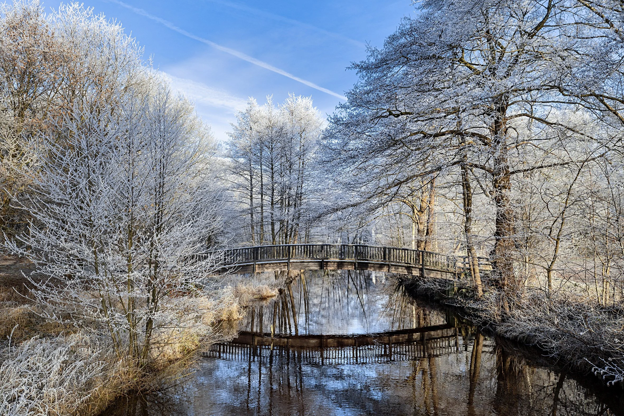 NK-Fladder-21-12-22-0258 copy.jpg