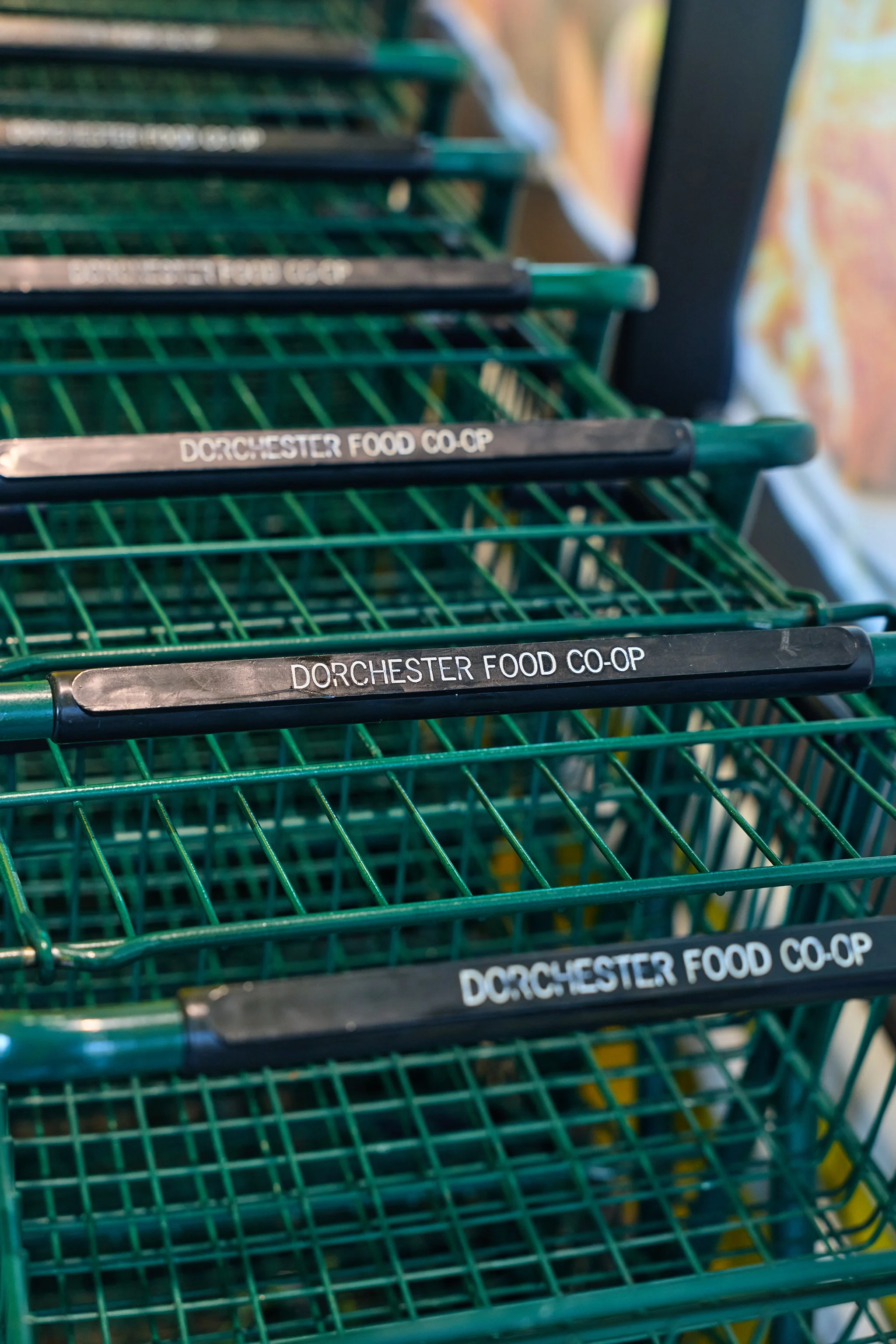 Close-up of green shopping carts with black handles labeled "DORCHESTER FOOD CO-OP" at a grocery store.