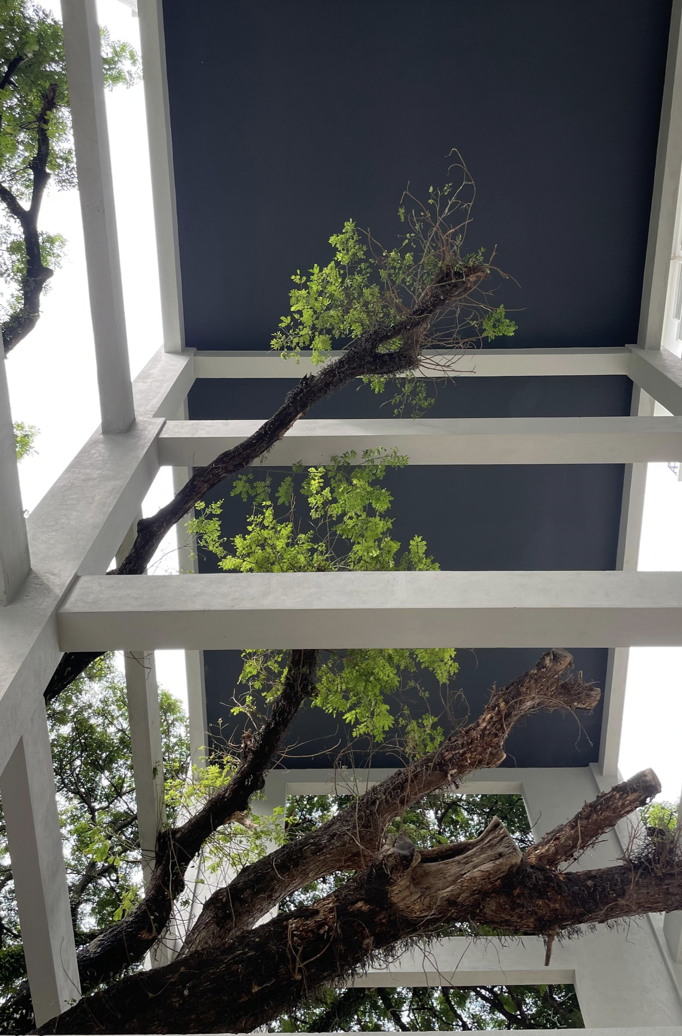 Screenshot 2026-02-09 at 17.26.06.png