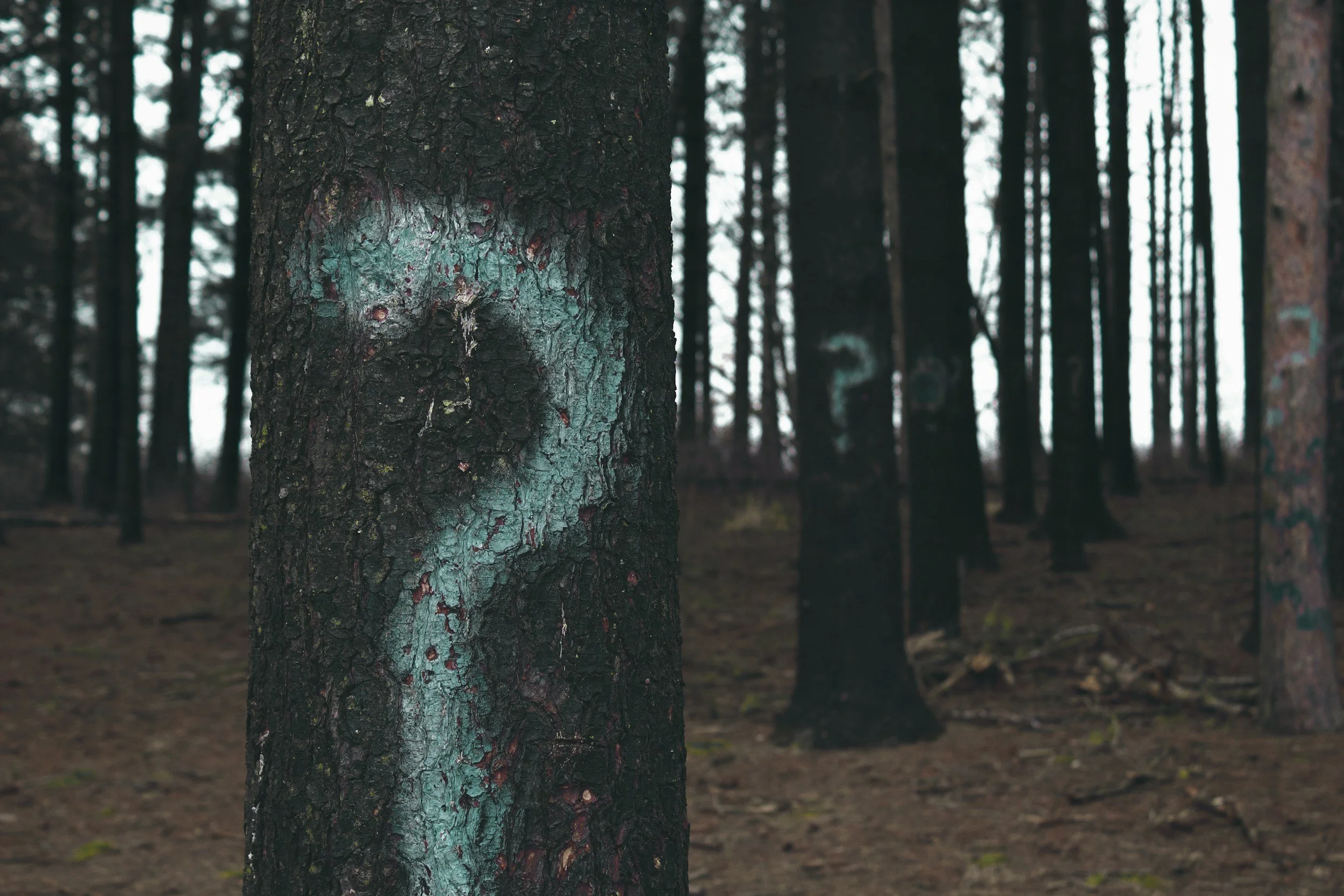 What if at the heart of leading is recognising we are all always just trying to figure it out?