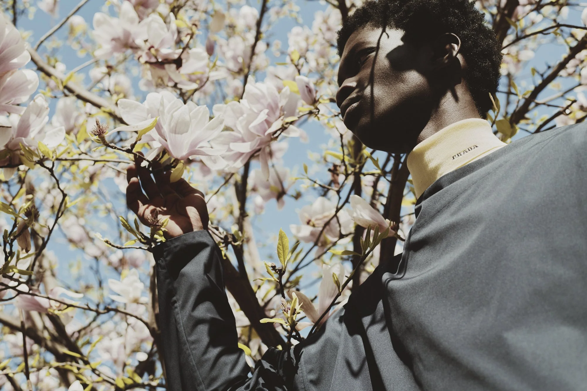 PRADA project