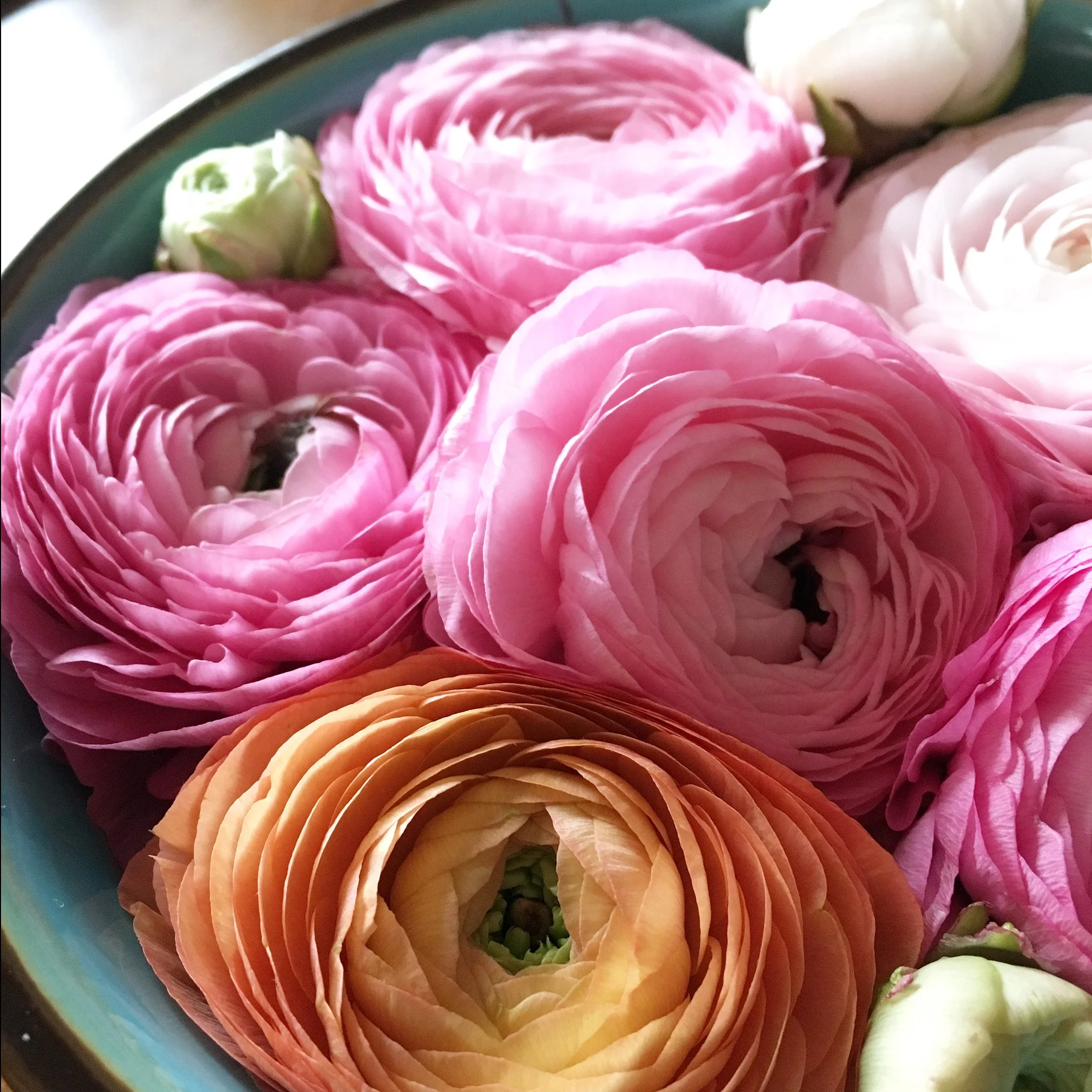 FREE Flower Delivery in Markham Your Finest Florist