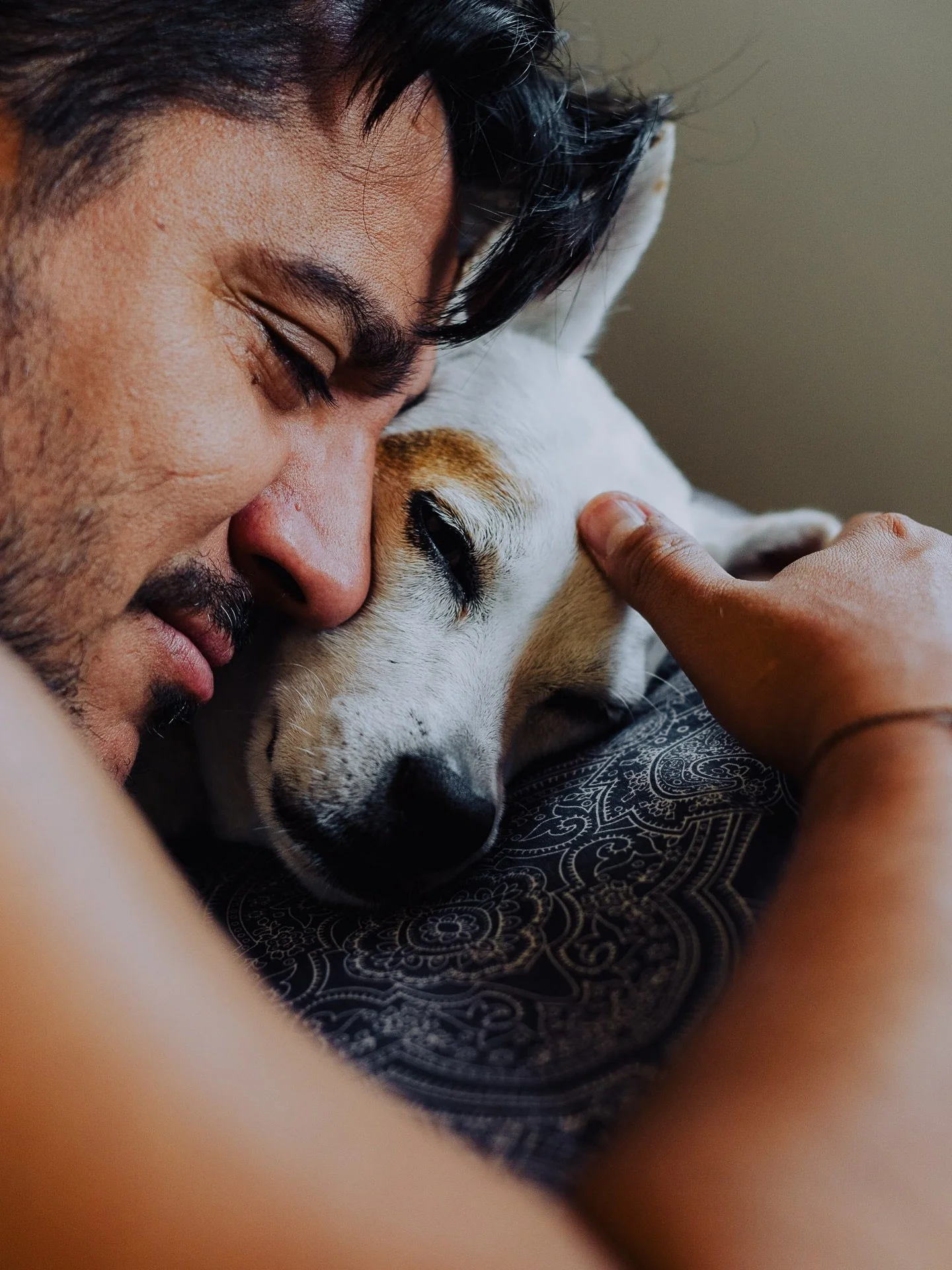 ❤️ UNA SIESTA DE TRES!

🐶 Esta tarde Cloe estaba tumbada en la cama, descansando despu&eacute;s de pasar la ma&ntilde;ana corriendo y nadando en el r&iacute;o.

😍 Al rato ha ido Carlos, se ha tumbado a su lado y la ha abrazado. Y yo me he derretido