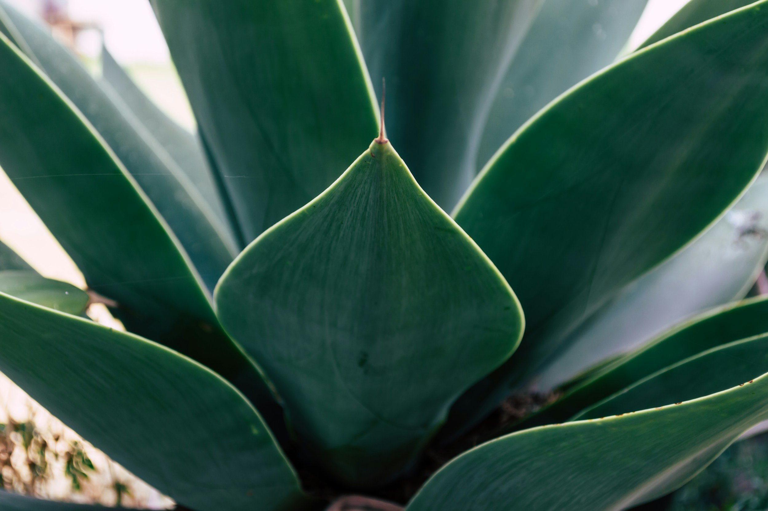 unsplash-image-kohQ7GEYtlc.jpg