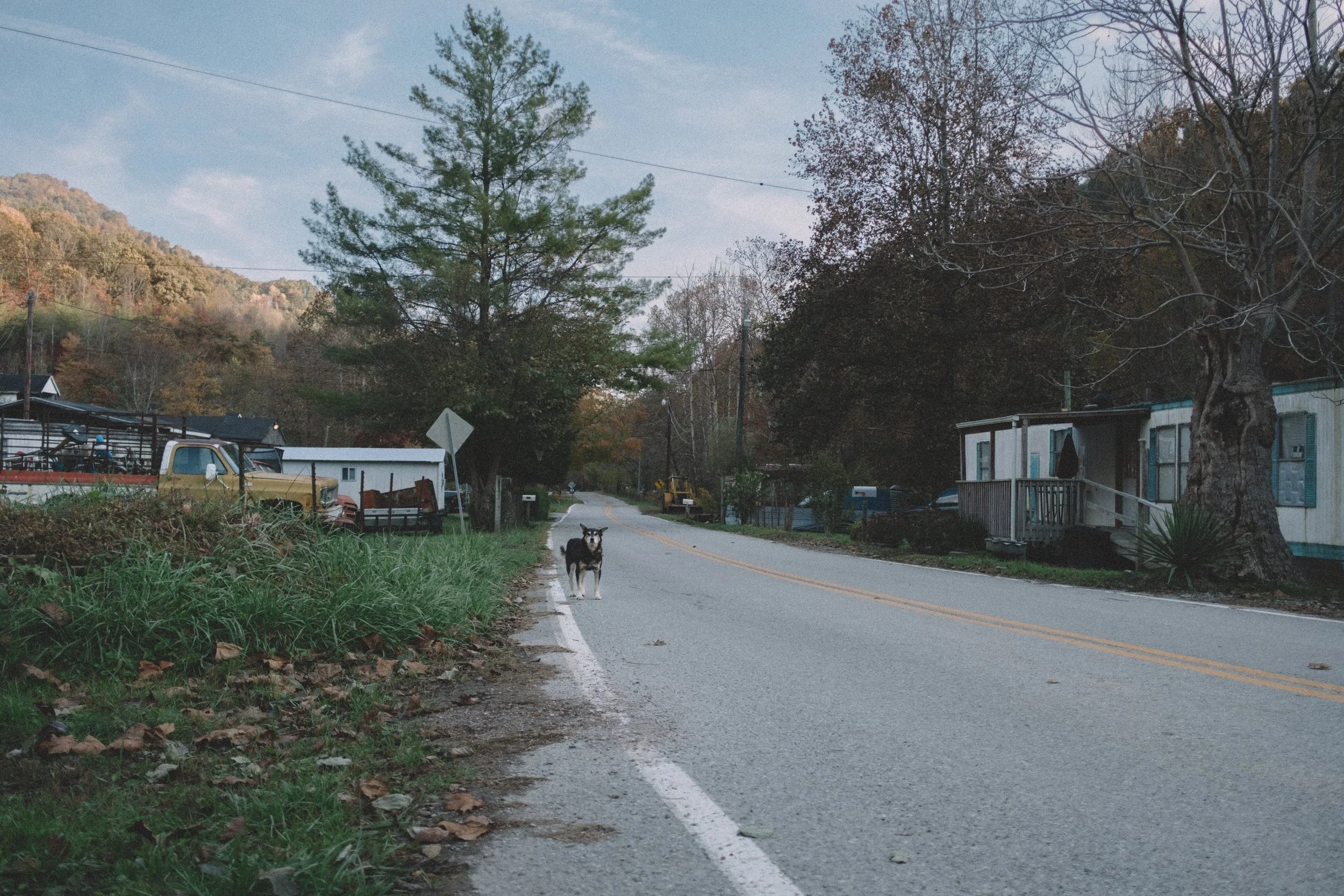 HARLAN COUNTY | 2018
