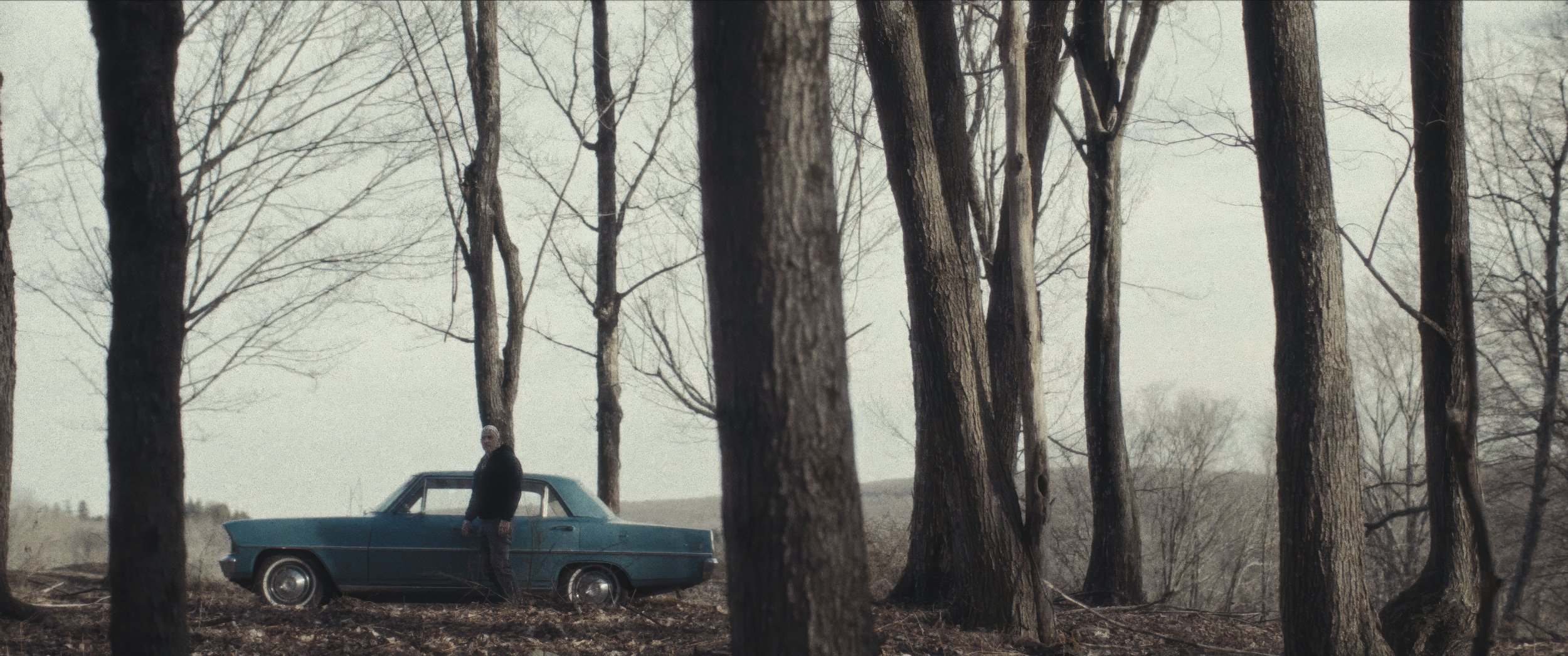 THE BEAUTY | SHORT FILM | DIR: ADAM McDAID