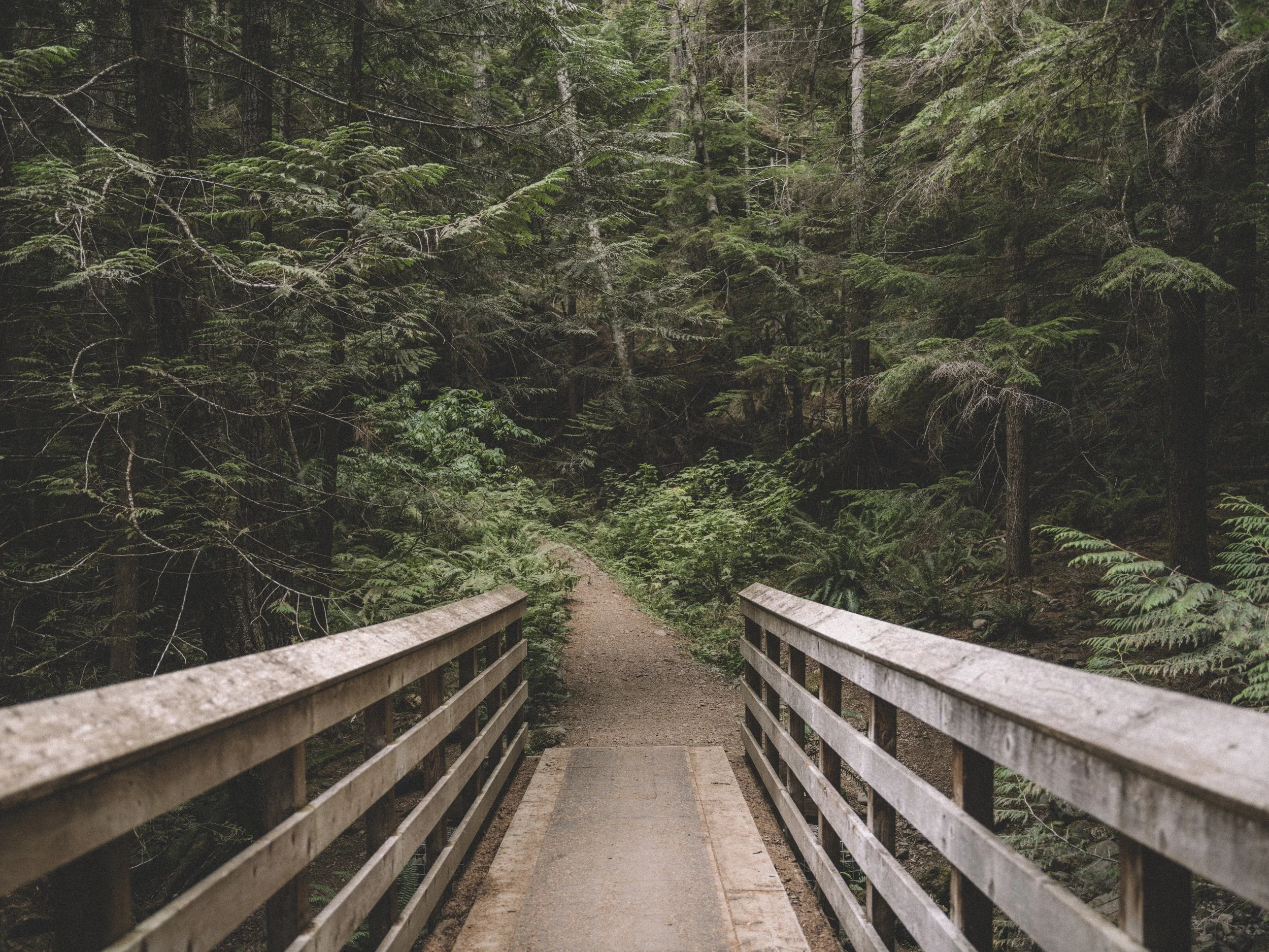 OLYMPIC PENINSULA | 2021