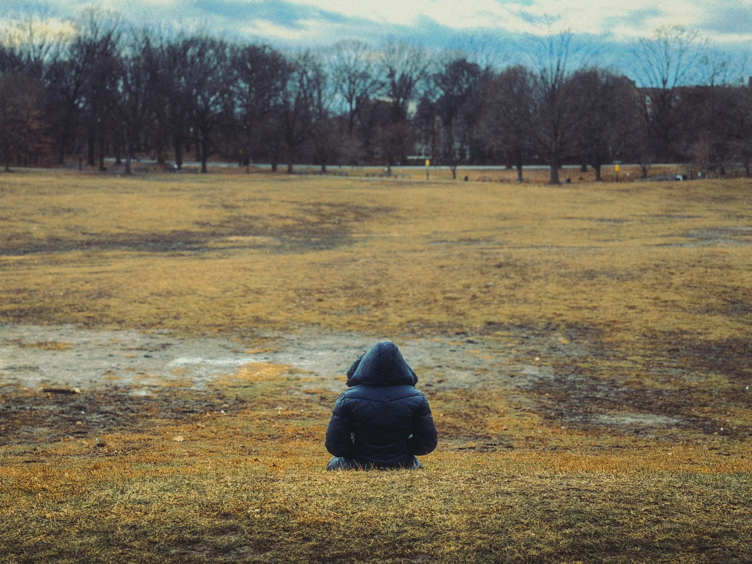 A person wearing a dark hooded jacket sitting alone on grass in an open park during autumn or winter, facing away from the camera, with leafless trees and cloudy sky in the background.