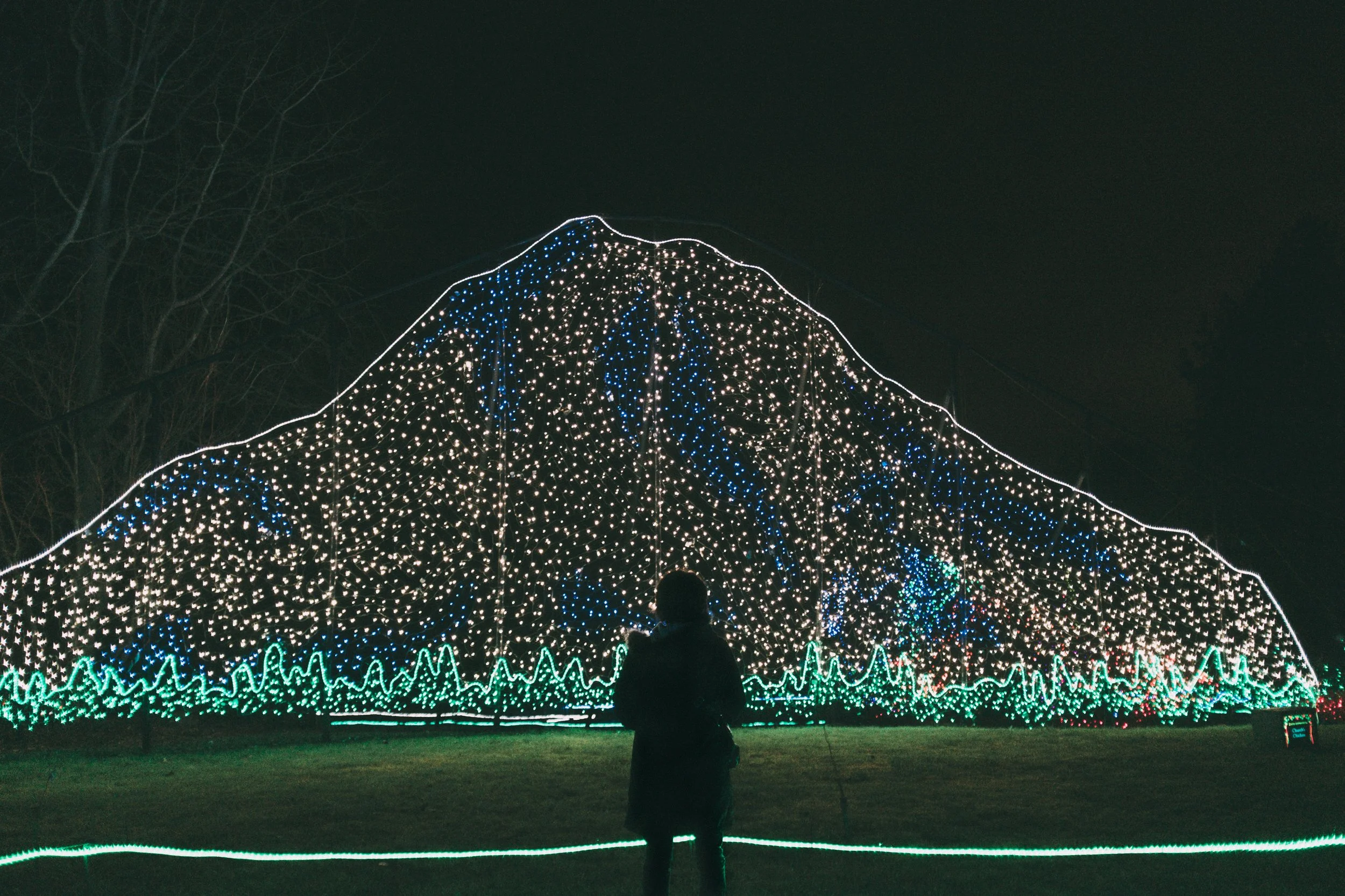 TACOMA | 2014