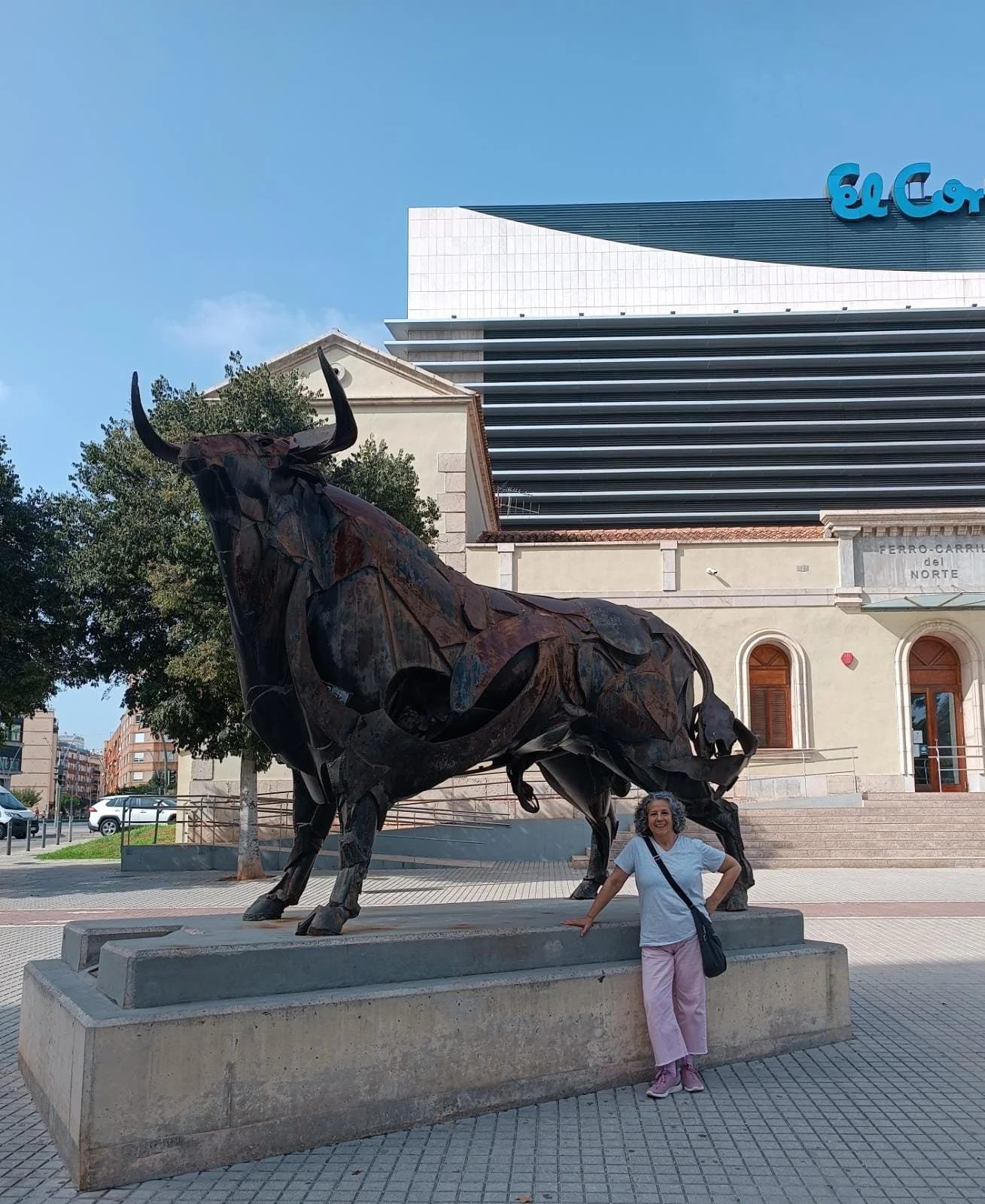 El viaje… mi viaje