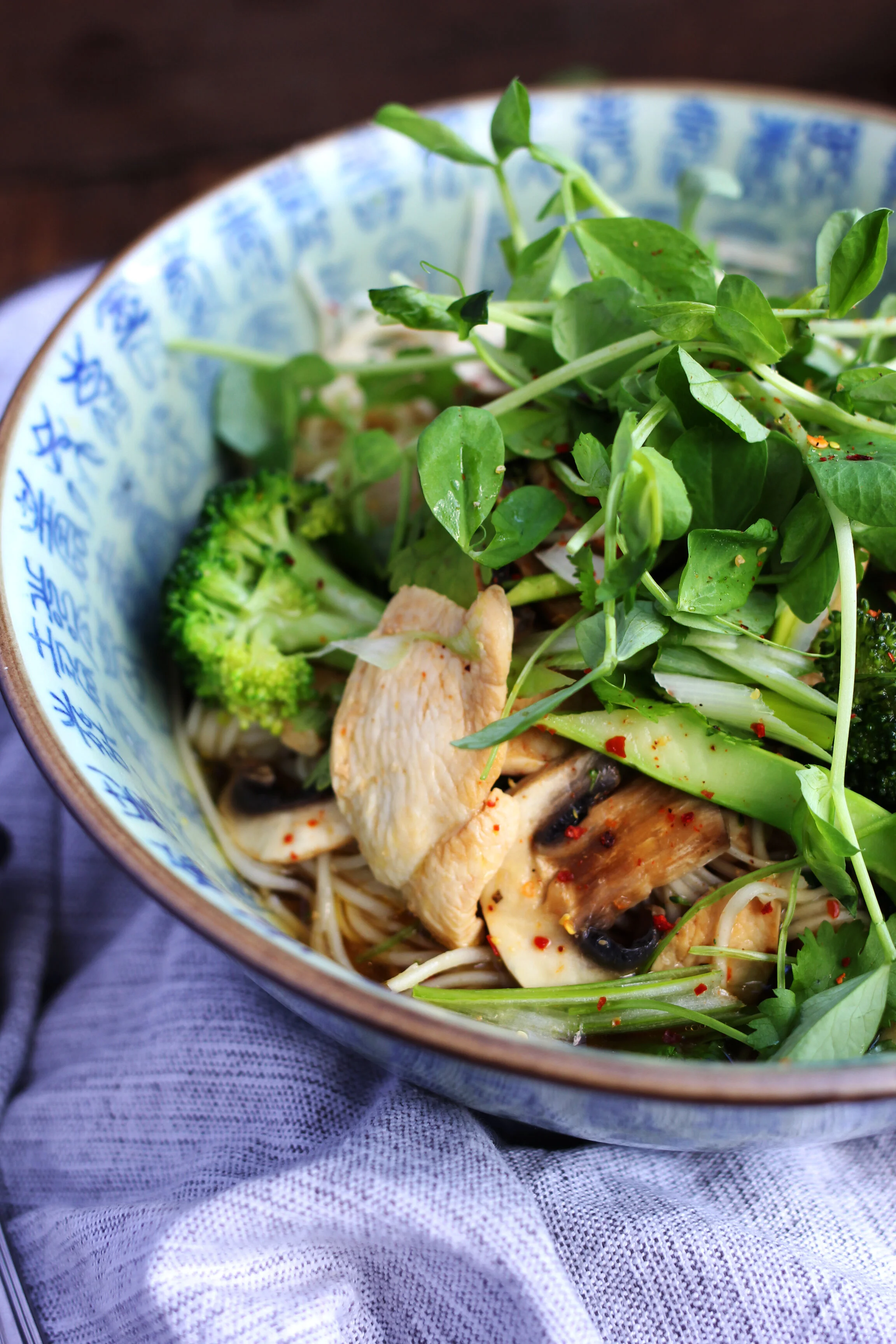 Chicken Noodle Broth