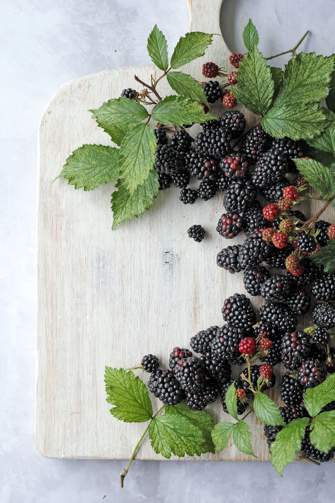 The Mother Cooker 2020