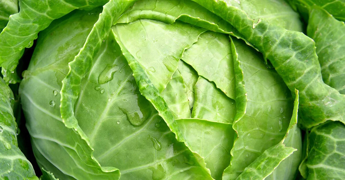 Why you Should Eat your Greens