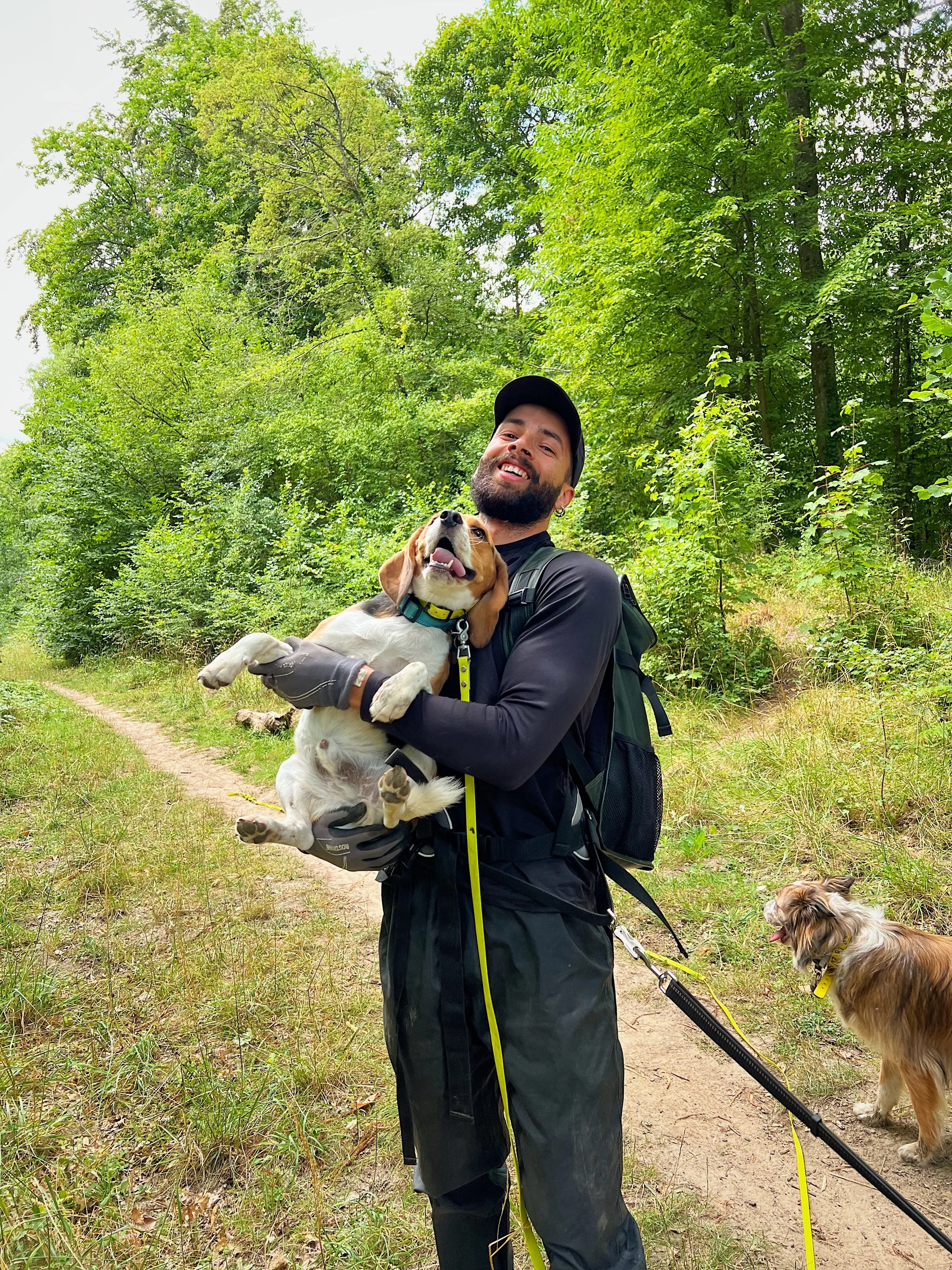 Dogwalker Saint-Germain-en-Laye