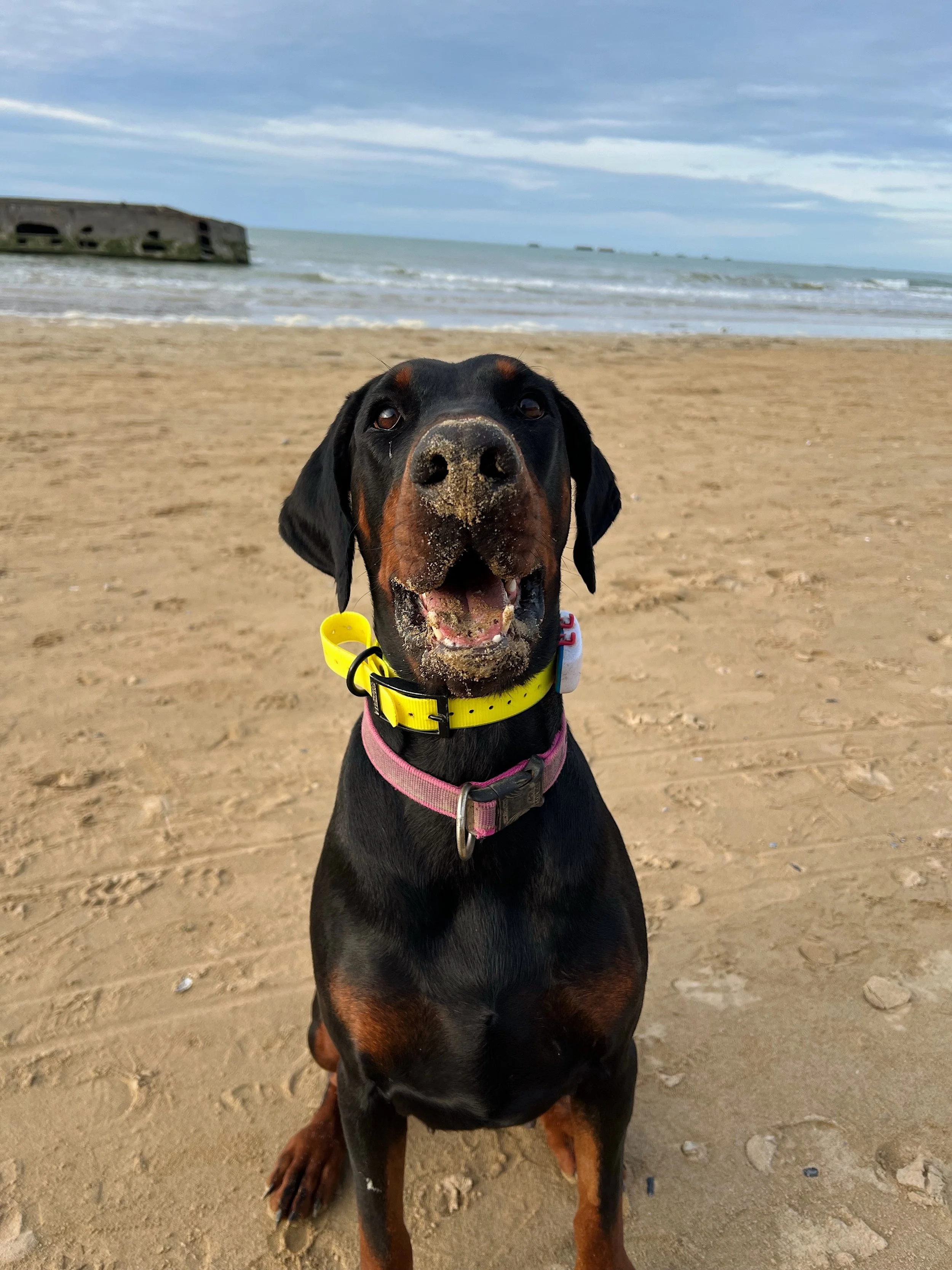 FullSizeRender_VSCO 7.JPG