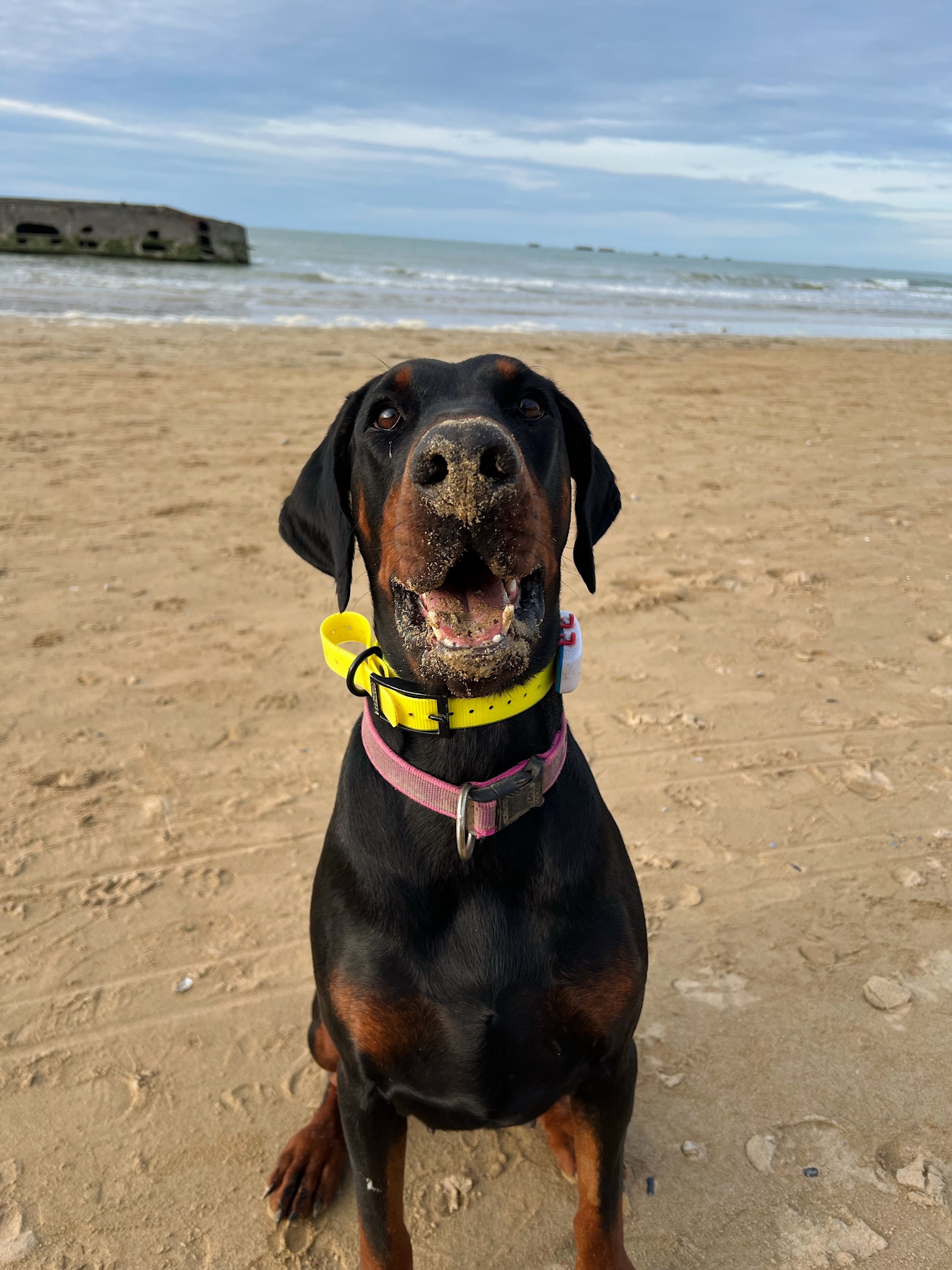 Pension familiale Saint-Nom-la-Bretèche