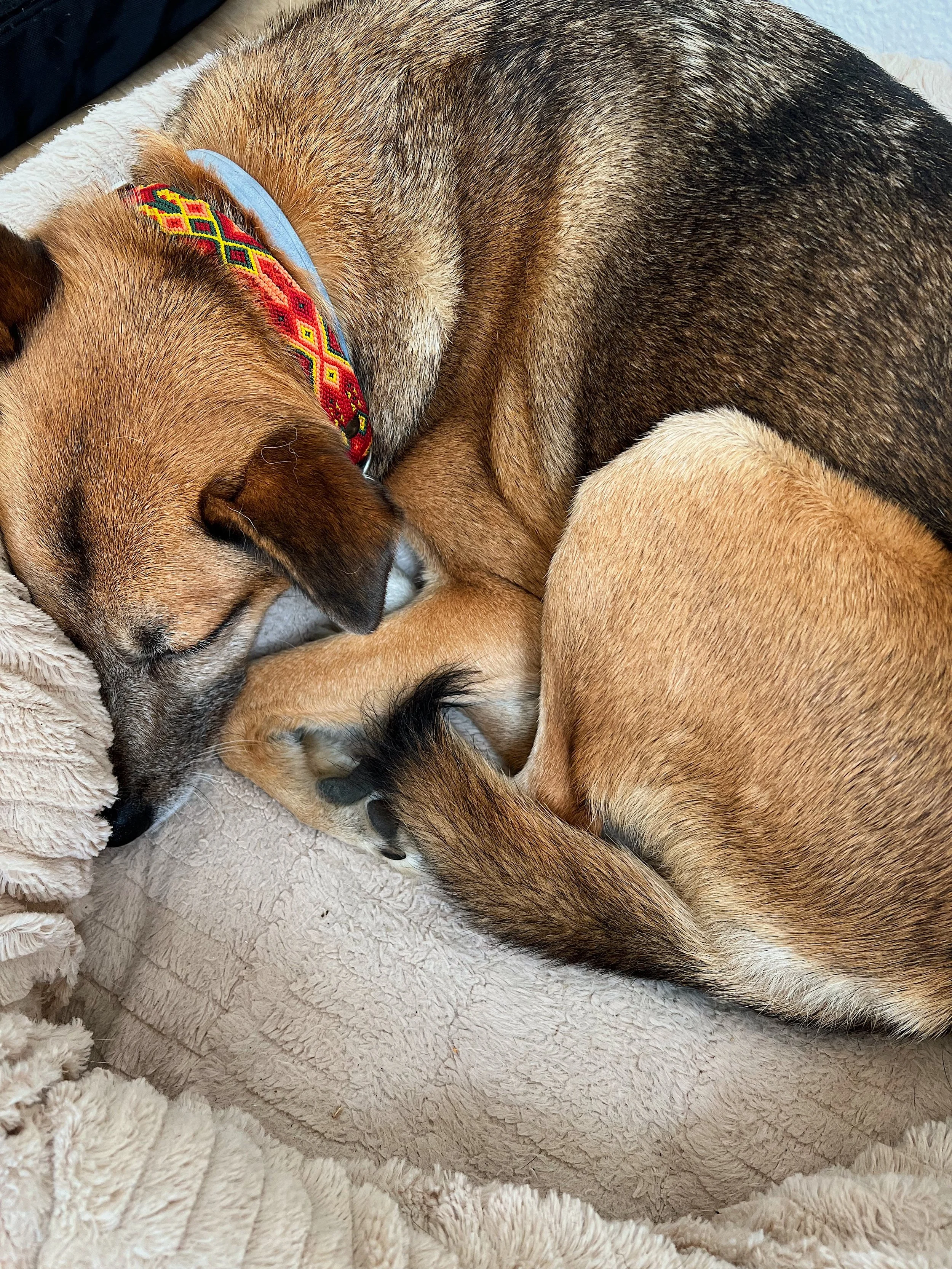 Pension familiale Saint-Germain-en-Laye