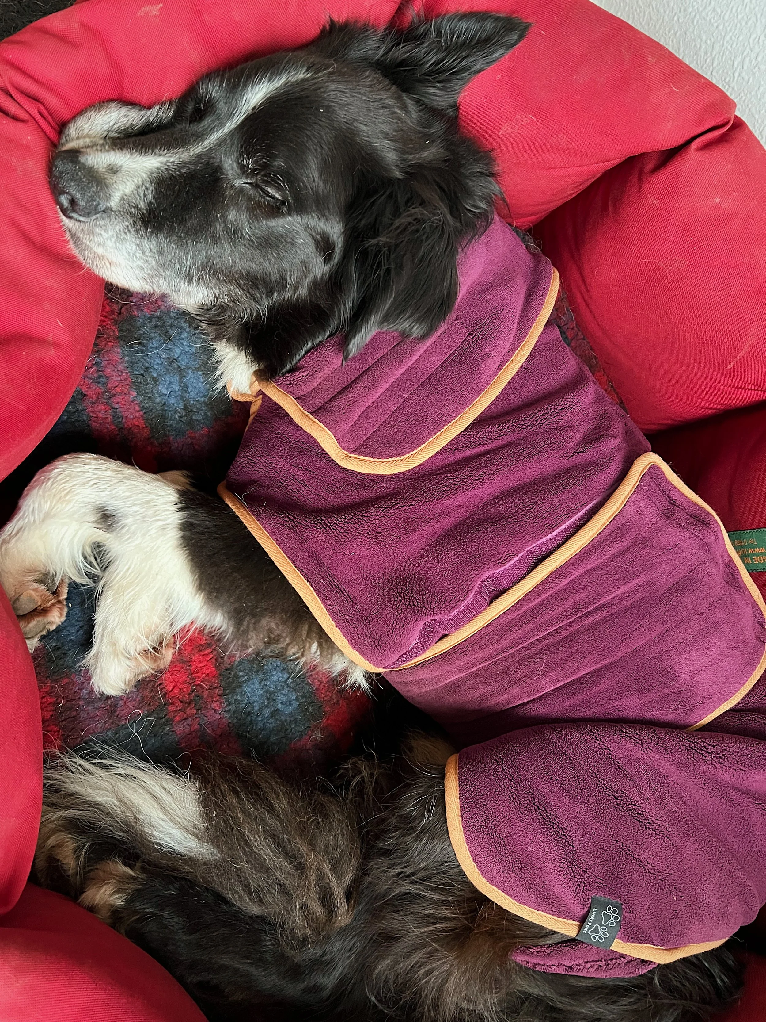 Pension familiale Le pecq