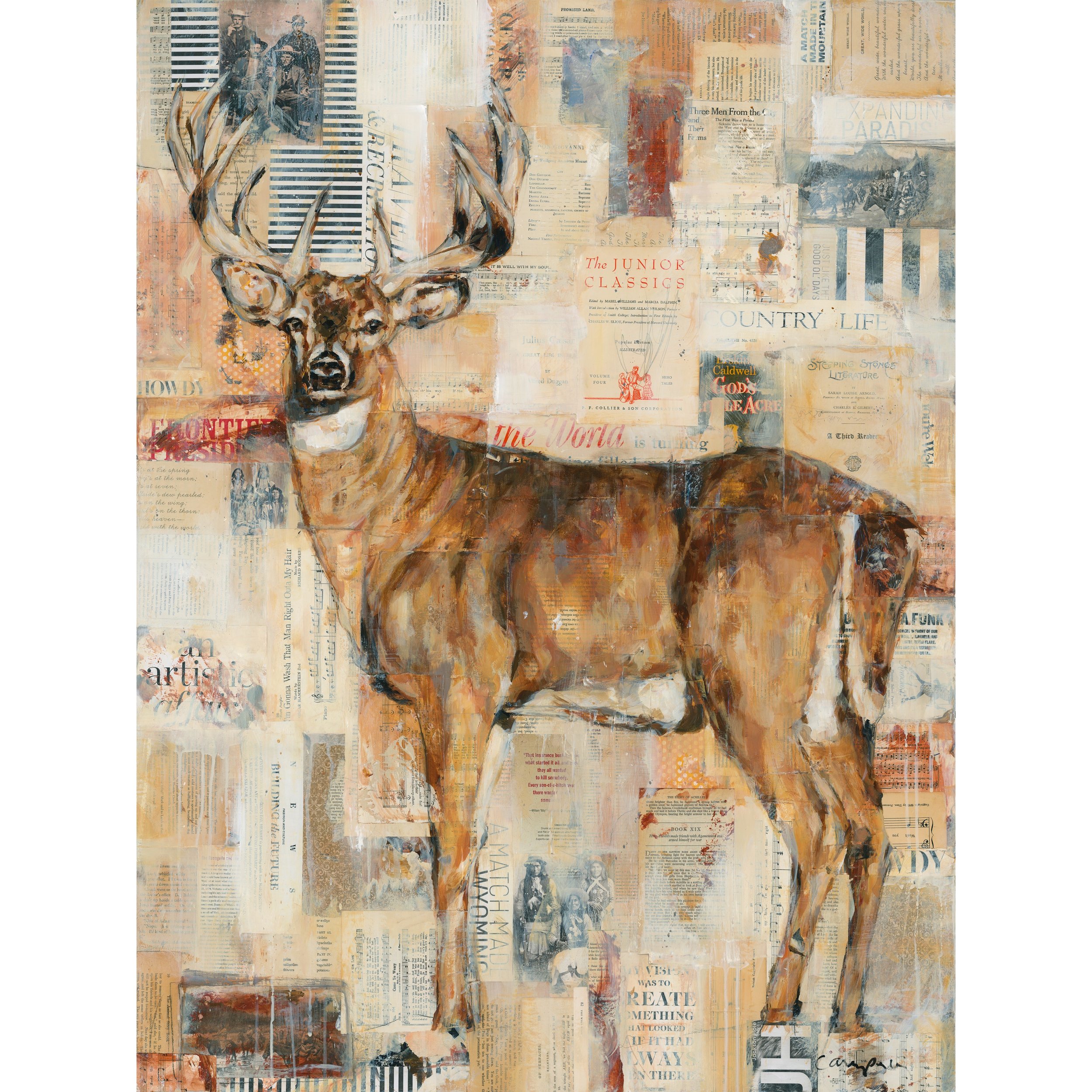 Deer-junior%20classics%20copy_VSCO.jpeg