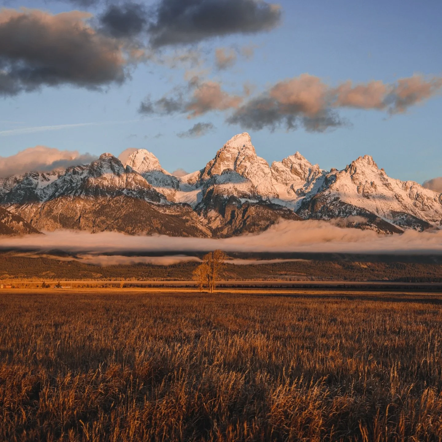 This is my favorite time of year to see the Tetons! 

#tetonnationalpark  #jacksonholewyoming #grandtetons