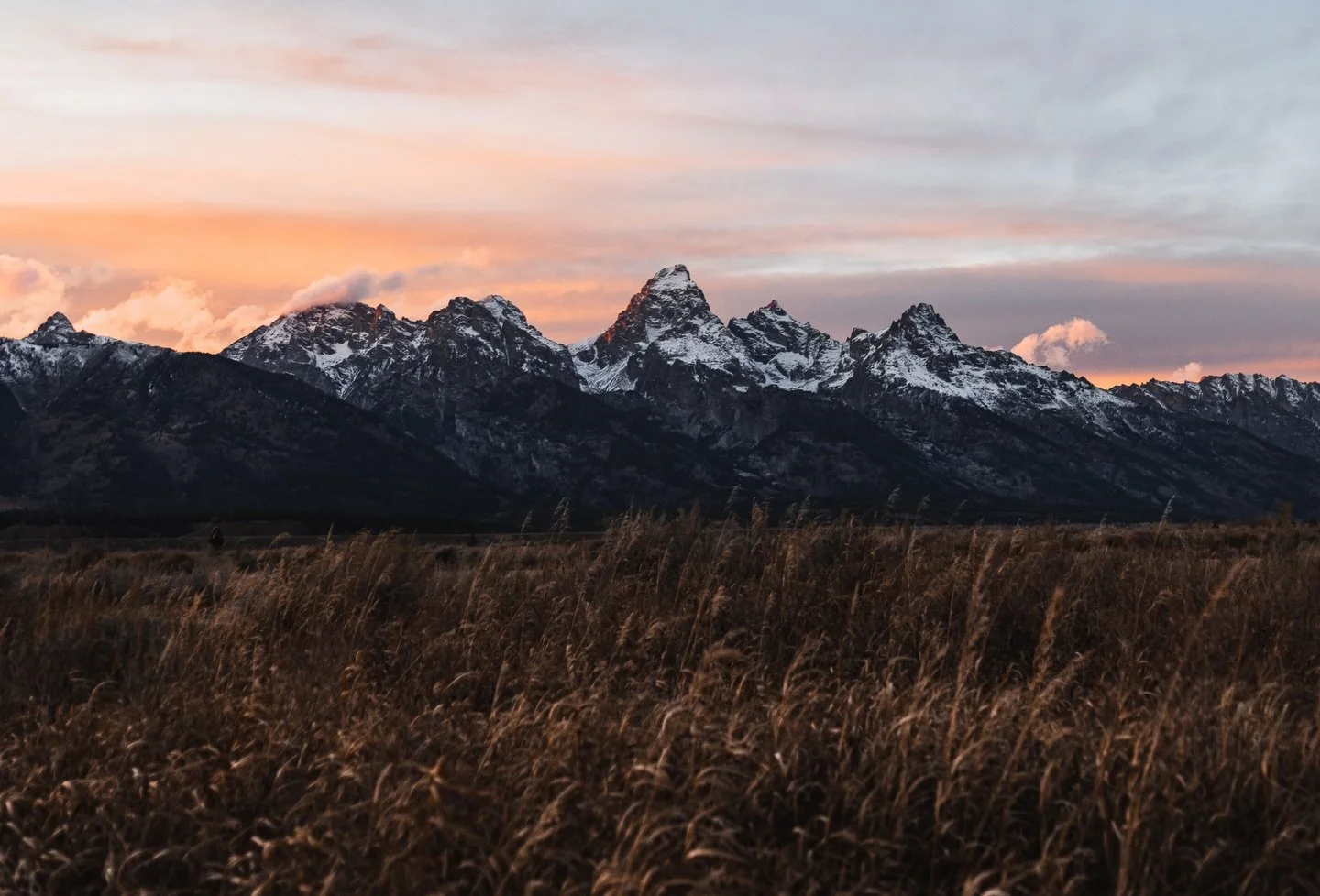Where do I go for inspiration? 

The place that's had the most profound impact on my work, subjects and collage, has to be the American west.  The vast, open spaces, colors, wildlife... I could go on.  If the west stood on its own, would be the 7th l