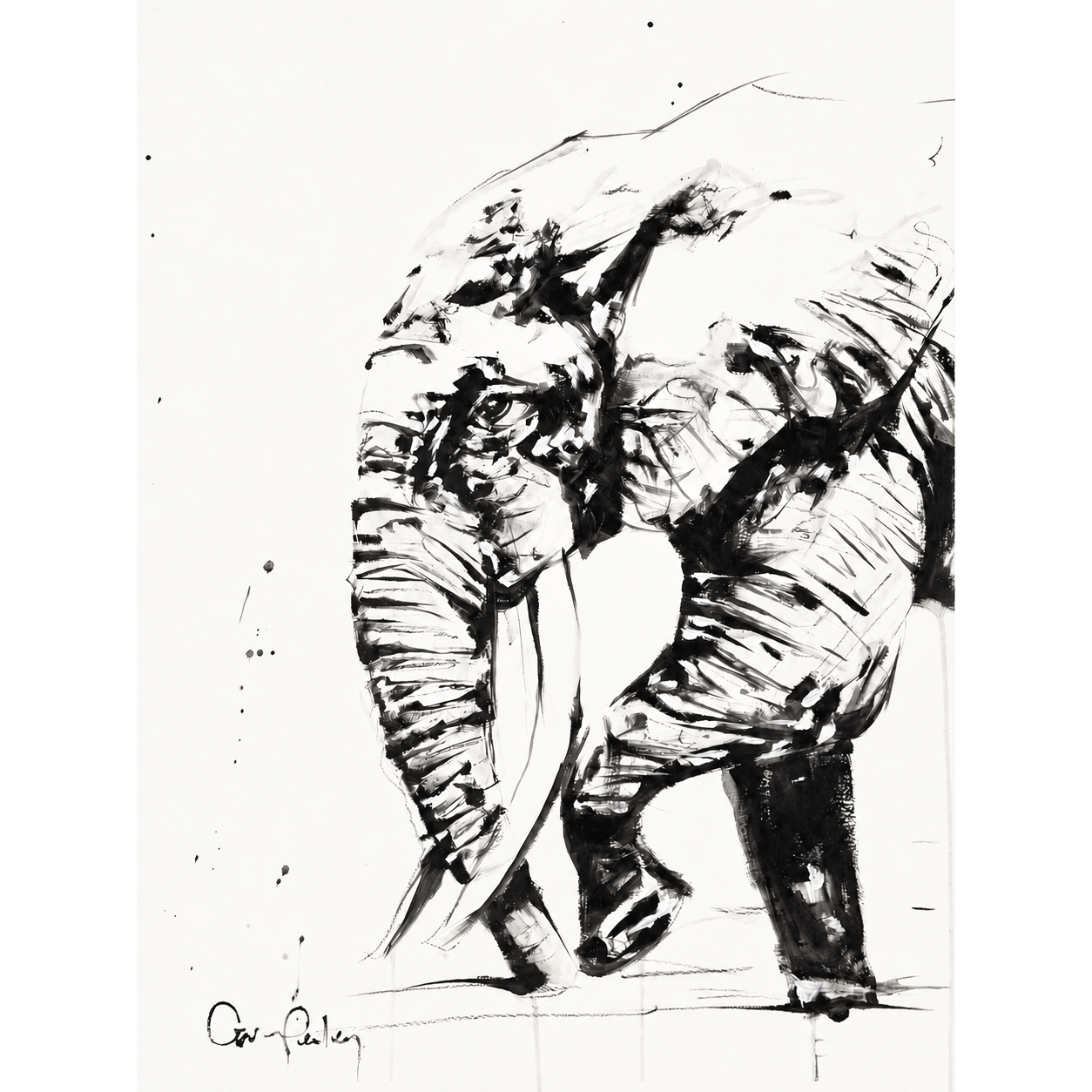 elephant+for+web.png