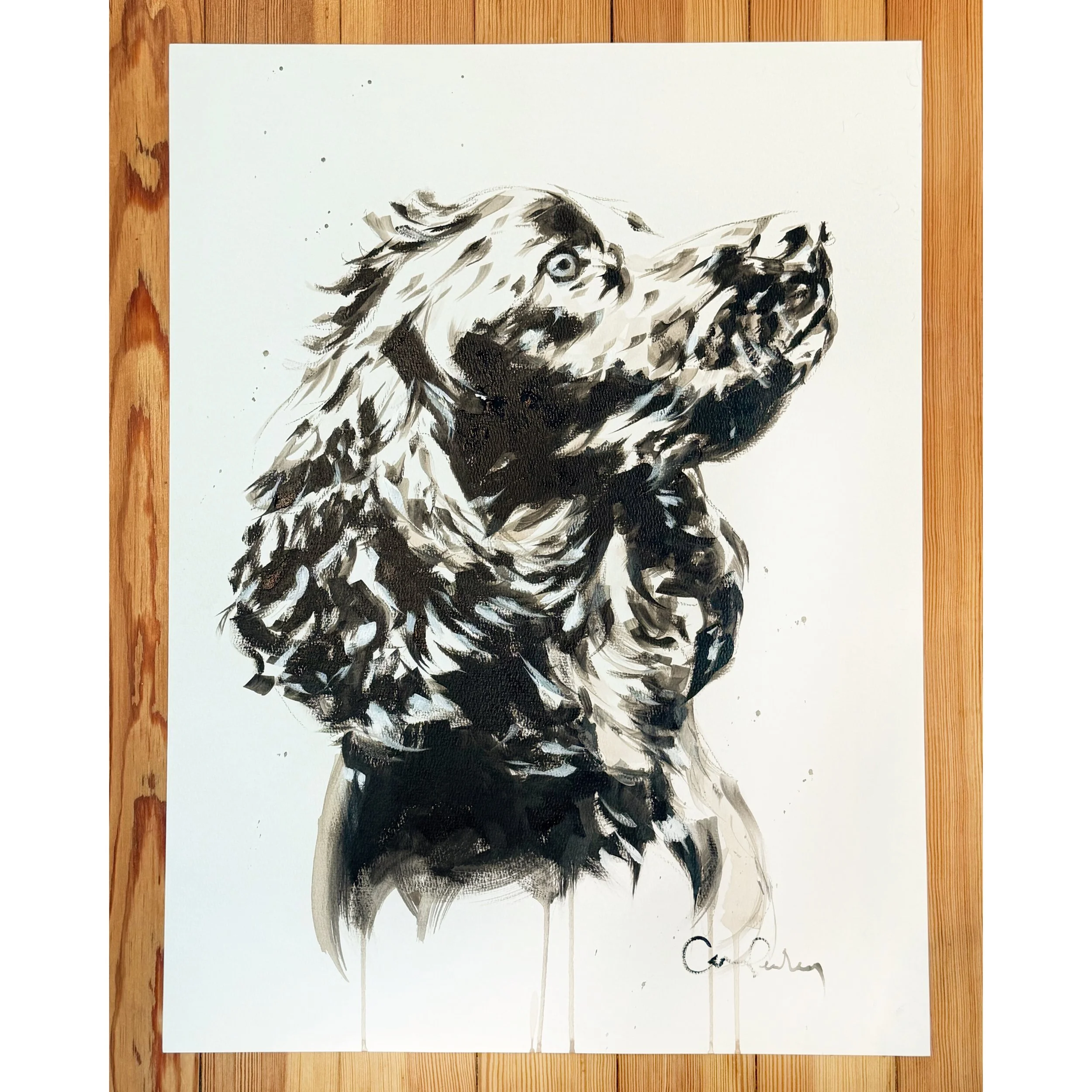Django 18 x 24