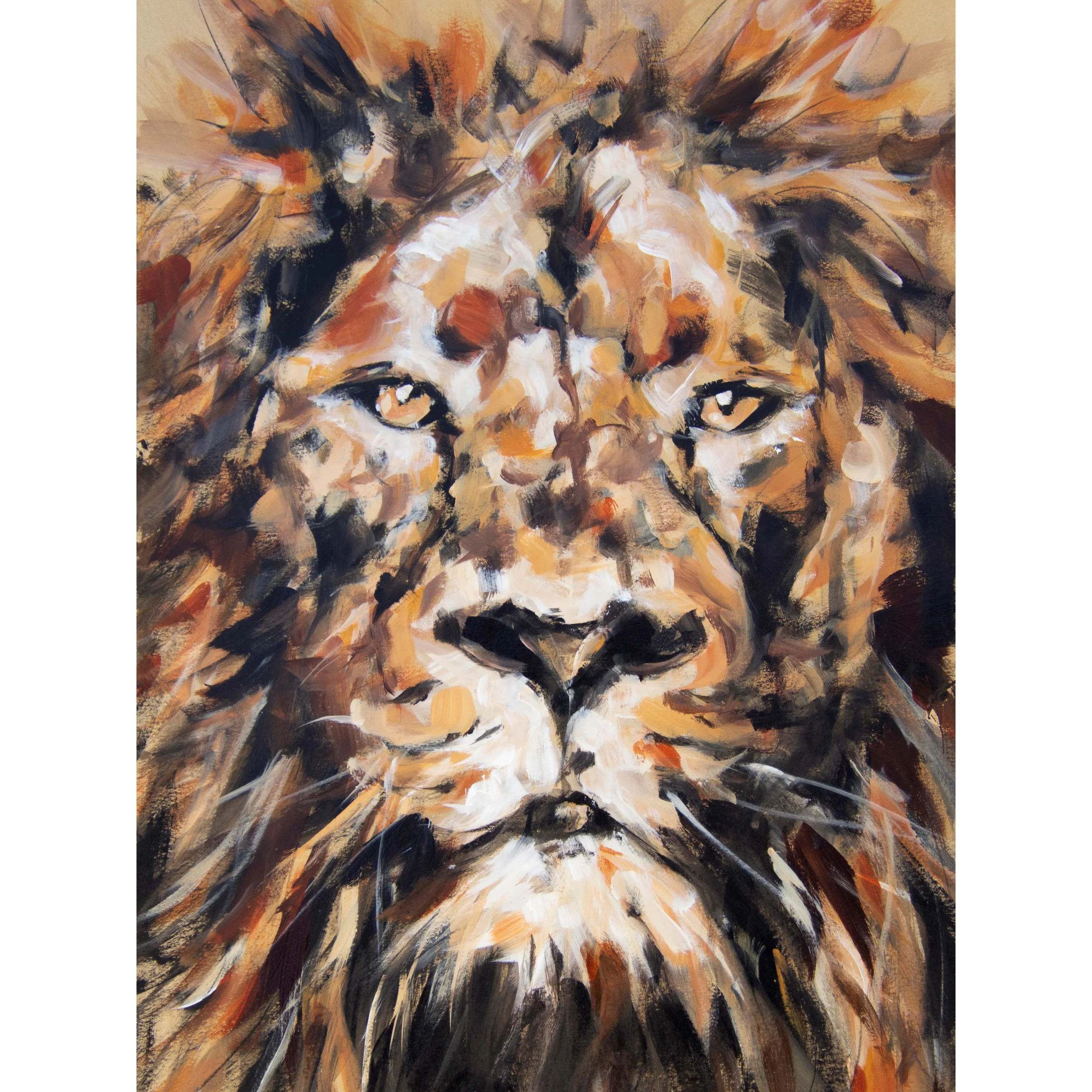 Image 3-29-26 at 3.41 PM.jpg