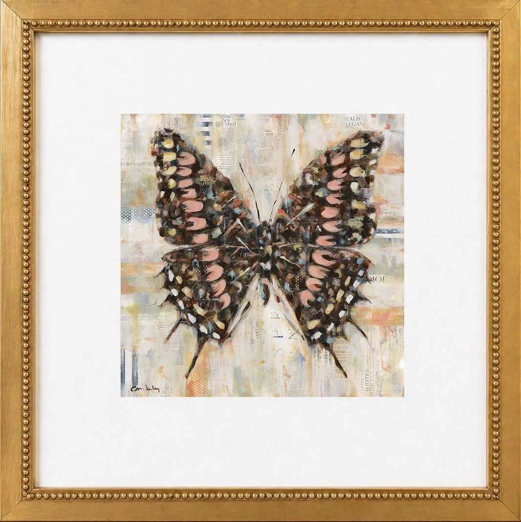 Image 4-27-26 at 4.00 PM.jpg