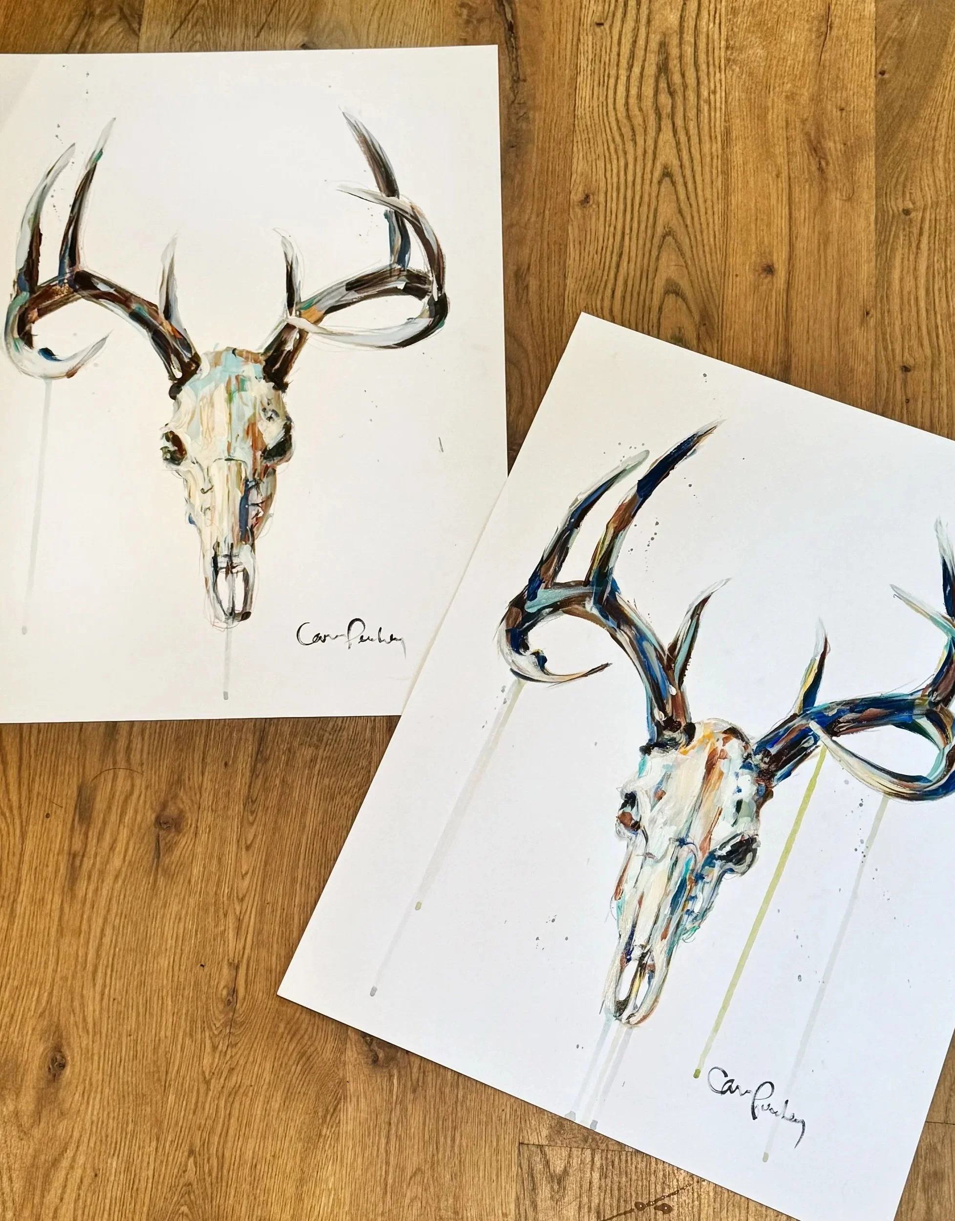 Two watercolor paintings of deer skulls with antlers on white paper, signed by the artist, placed on a wooden floor.